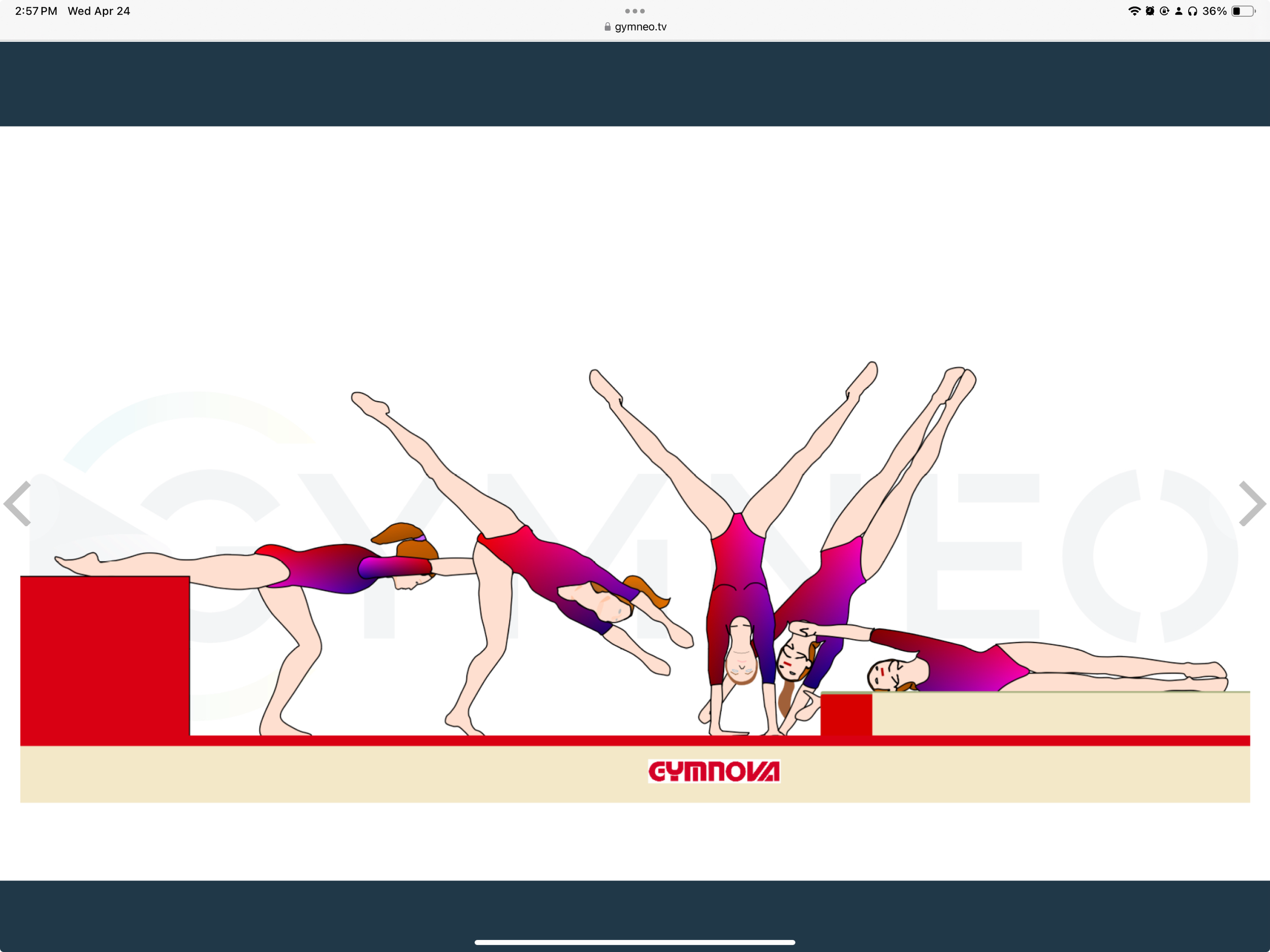 My training list - GymneoTV 23.png