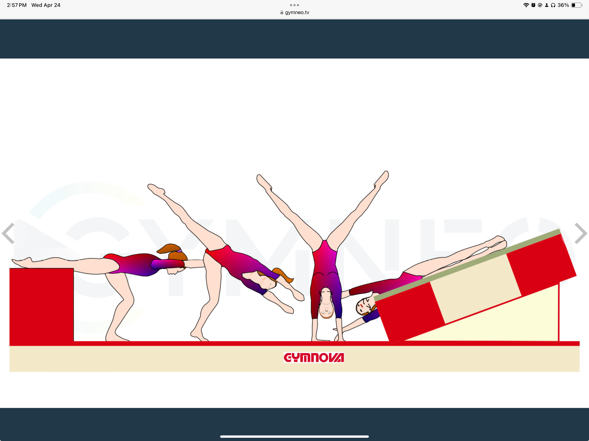 My training list - GymneoTV 24.png