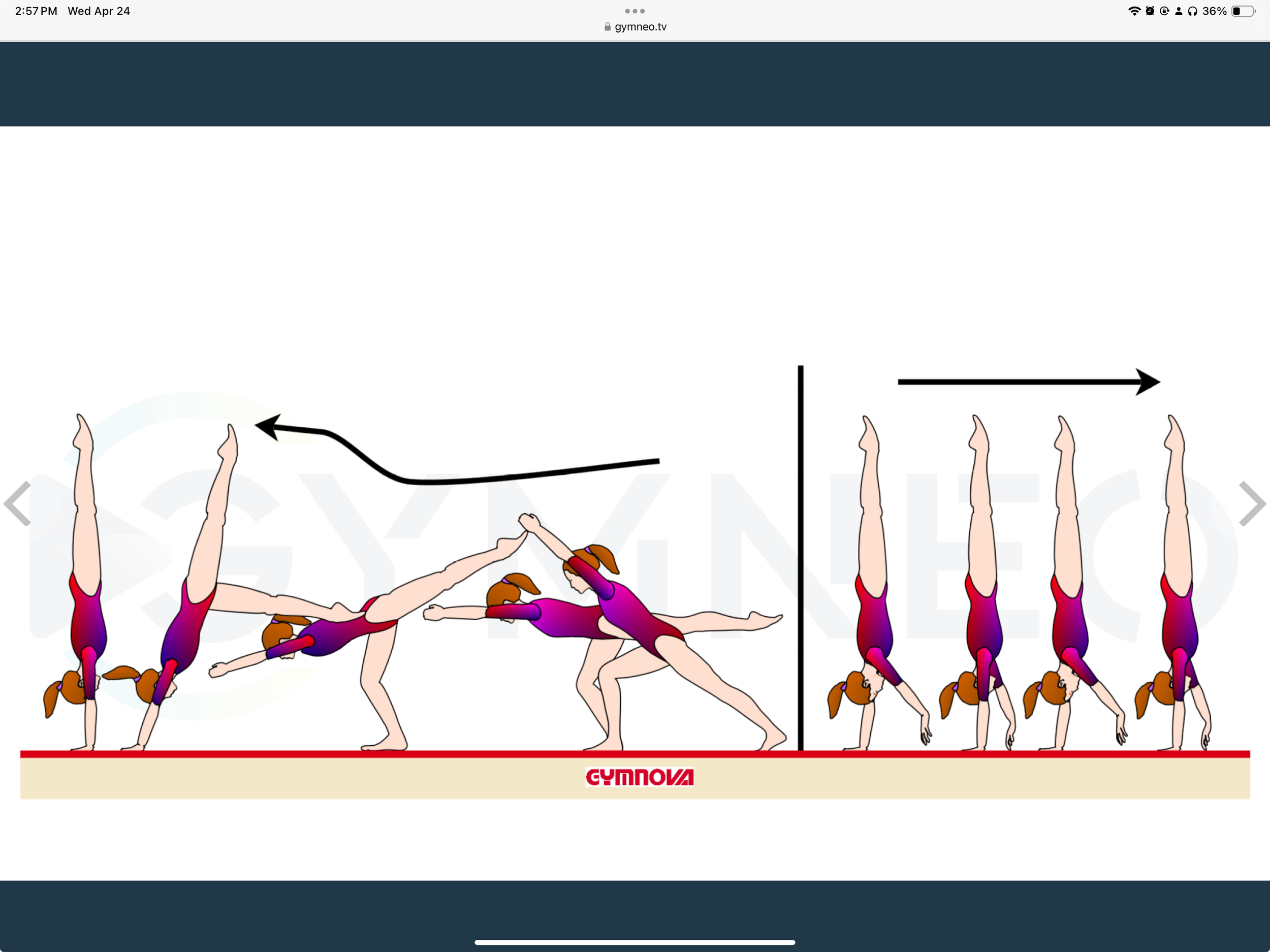 My training list - GymneoTV 25.png