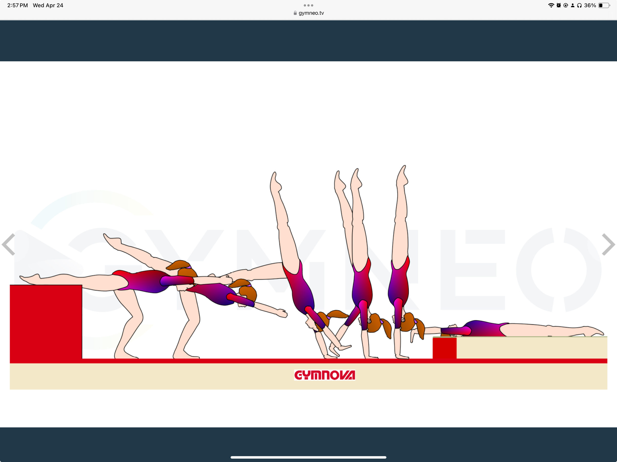 My training list - GymneoTV 27.png