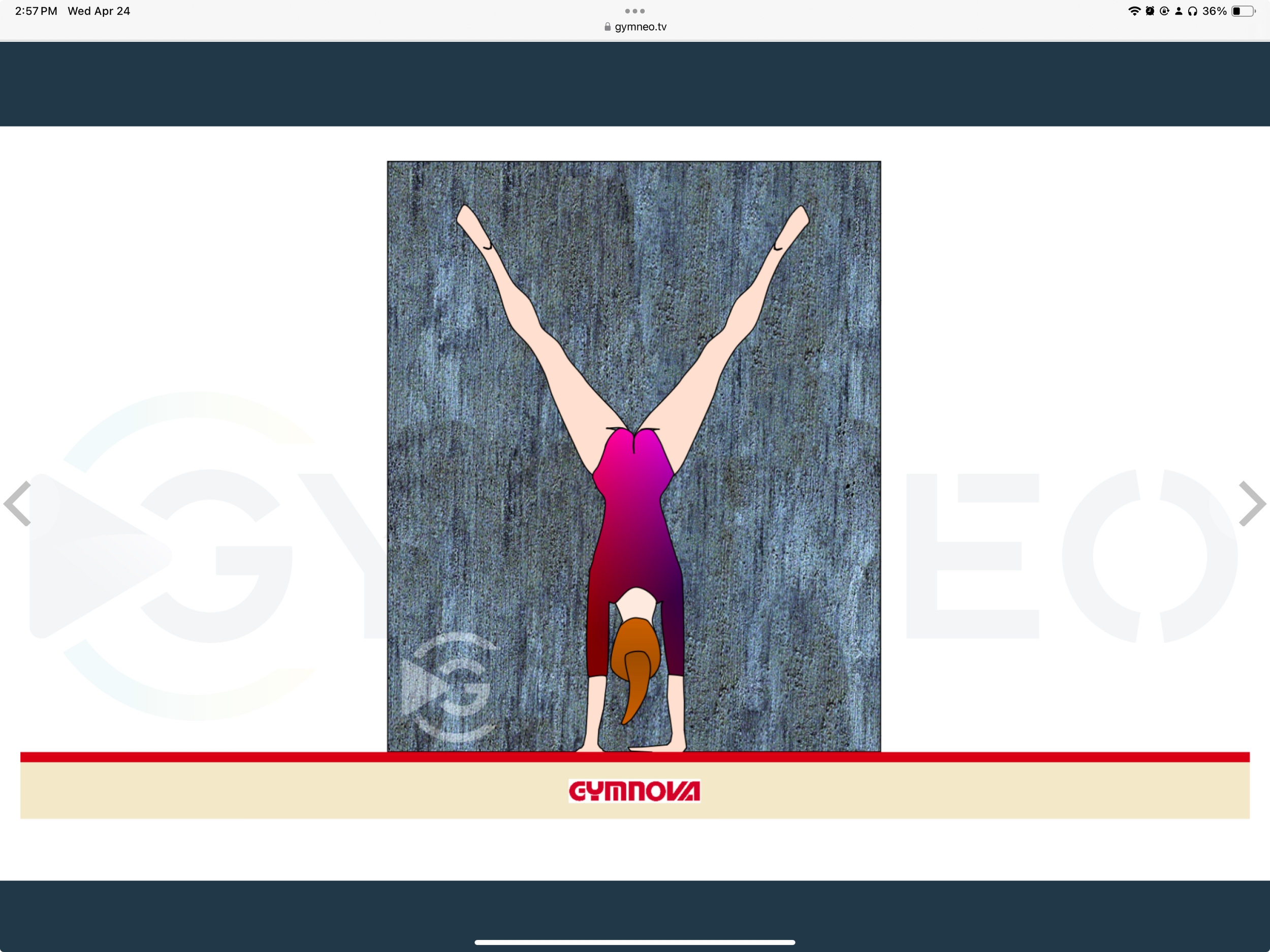 My training list - GymneoTV 29.png