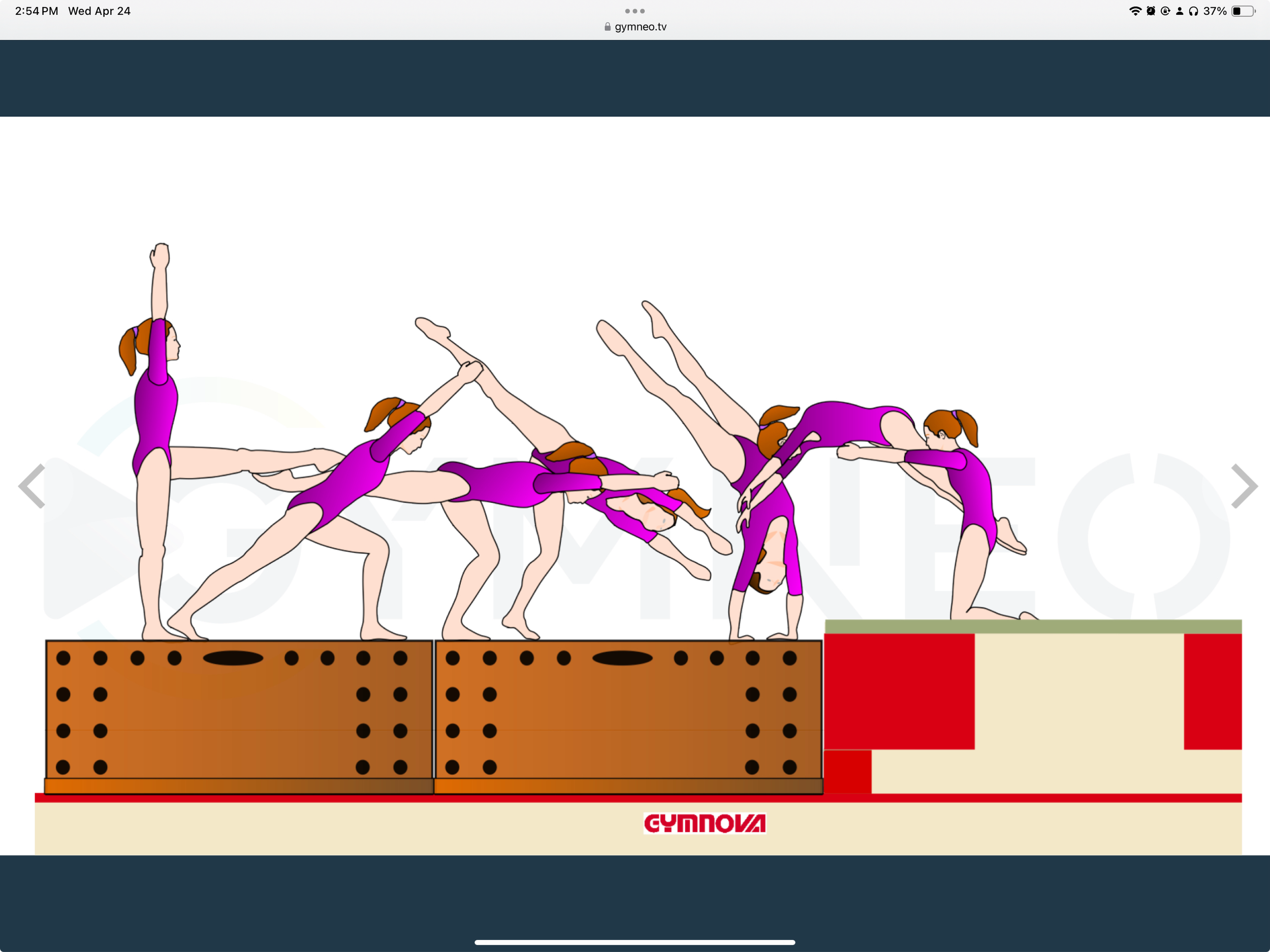 My training list - GymneoTV 5.png