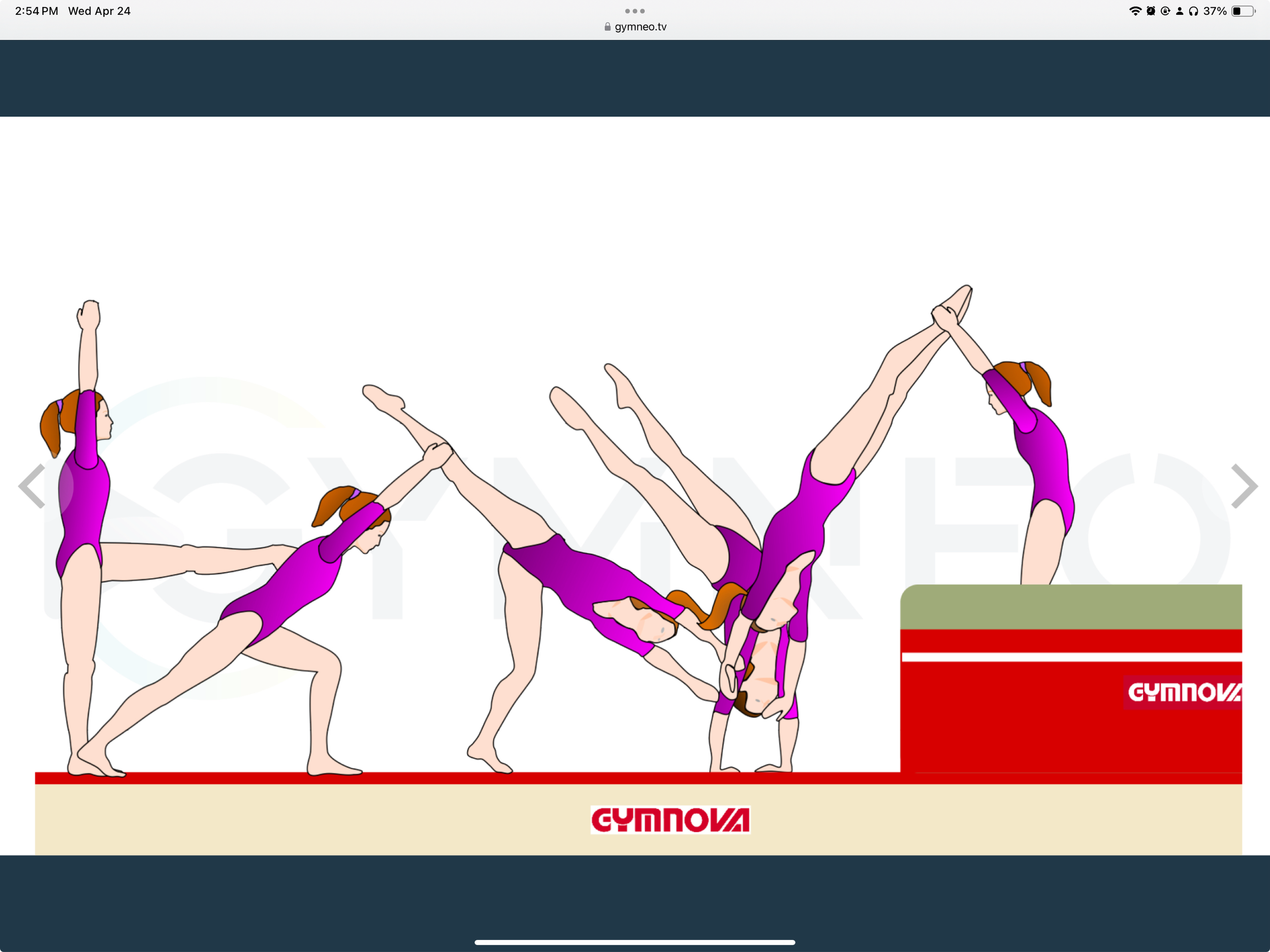 My training list - GymneoTV 9.png