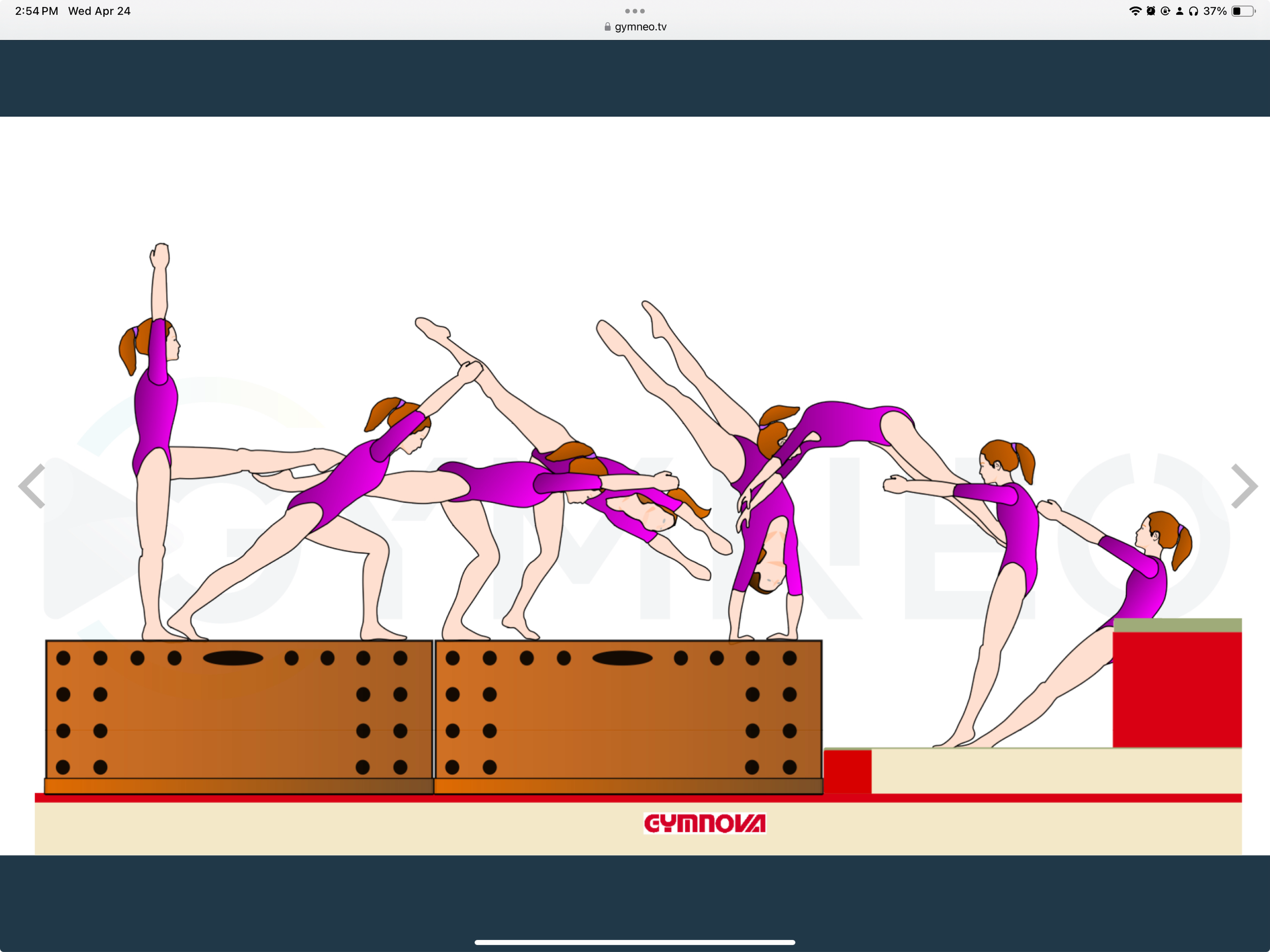 My training list - GymneoTV 19.png