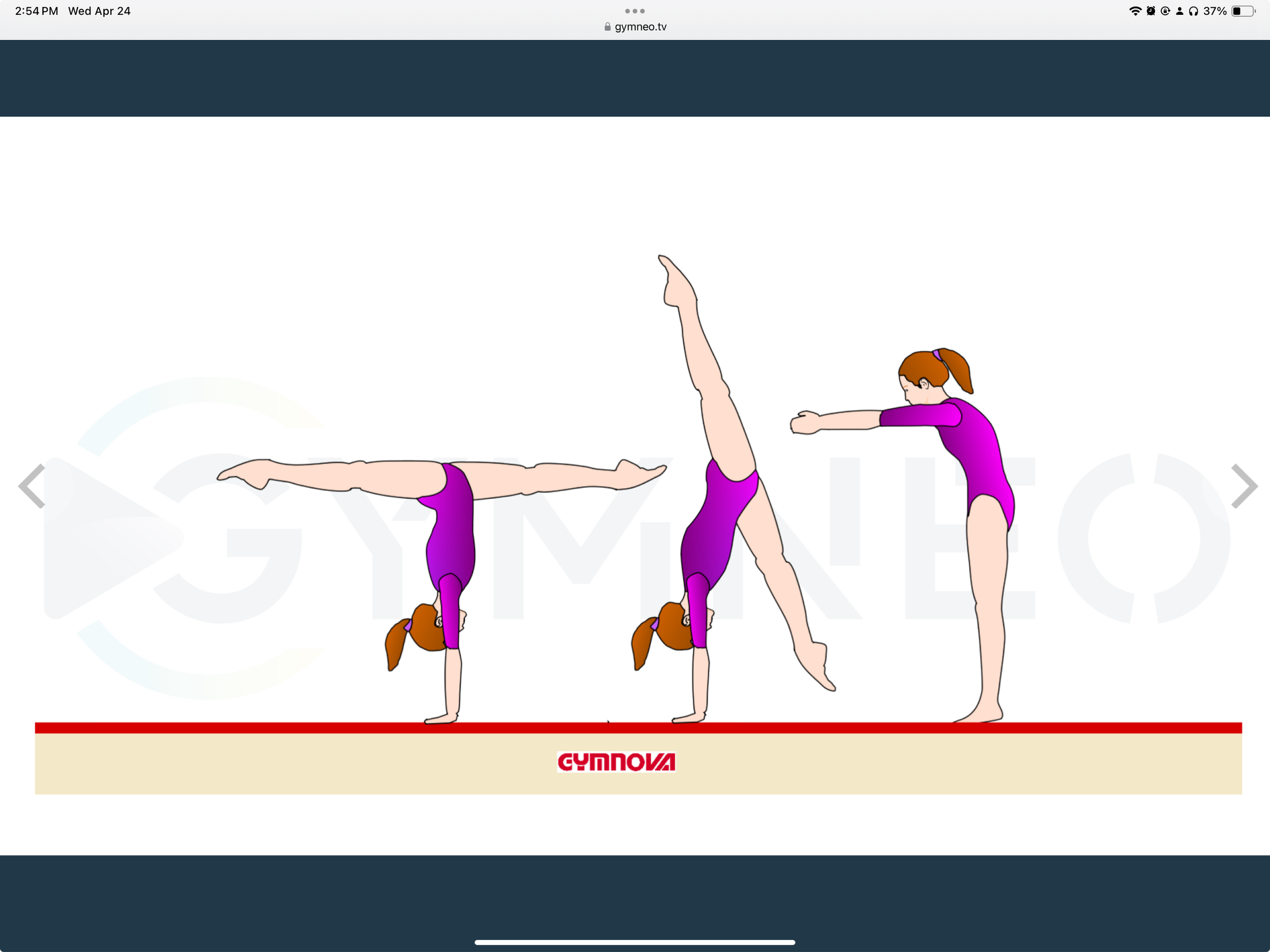 My training list - GymneoTV 25.png