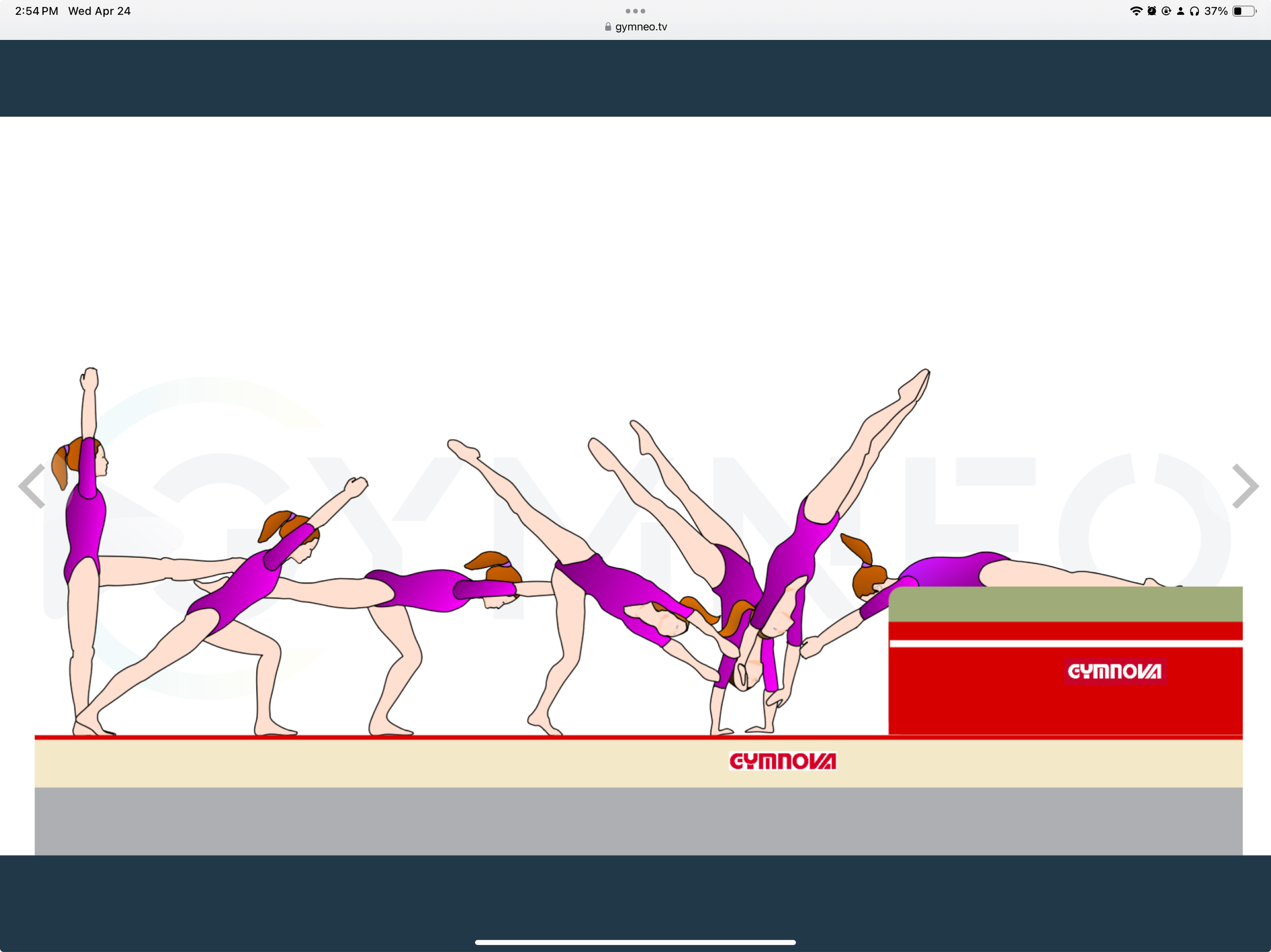 My training list - GymneoTV 28.png