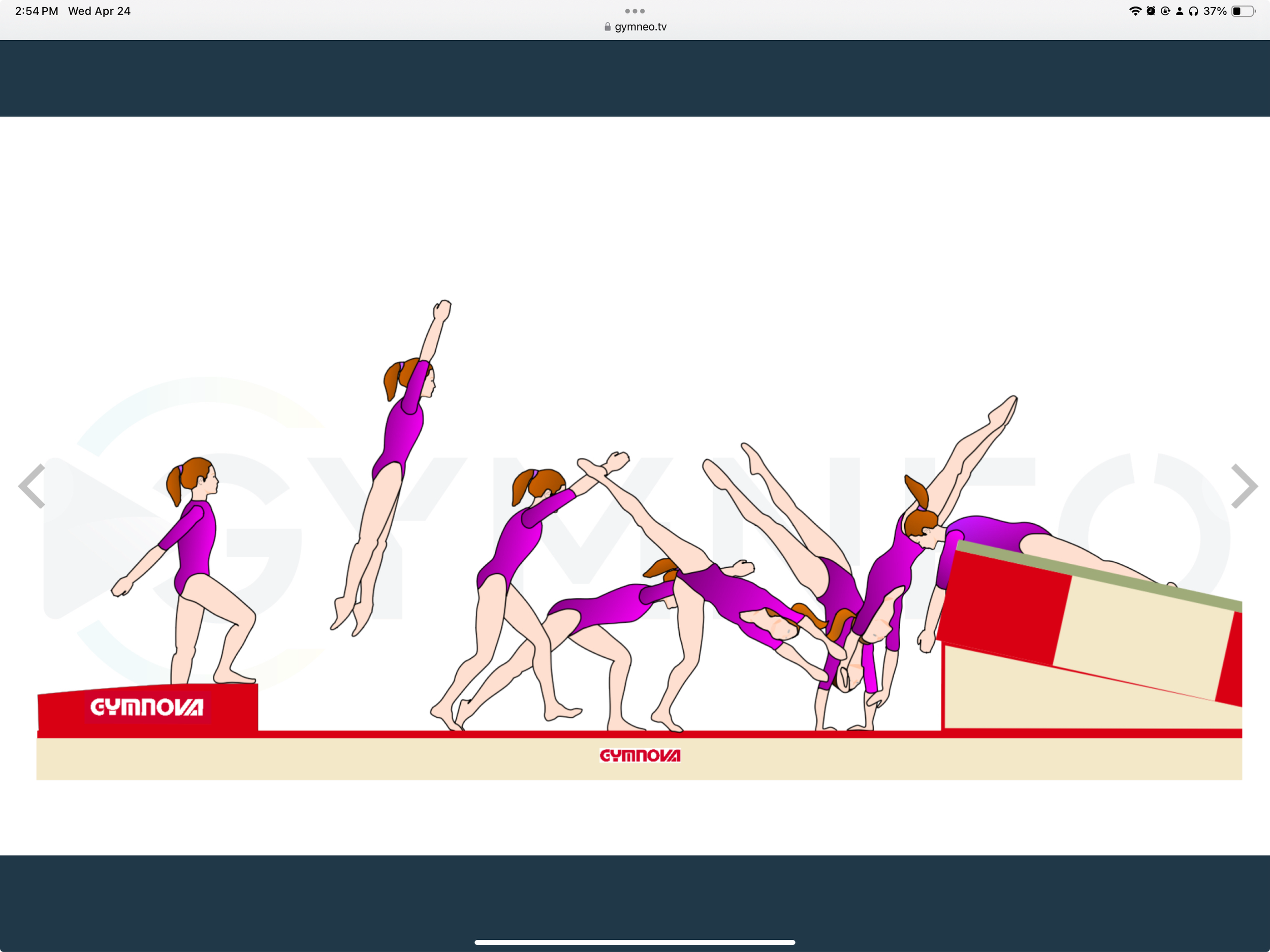 My training list - GymneoTV 30.png