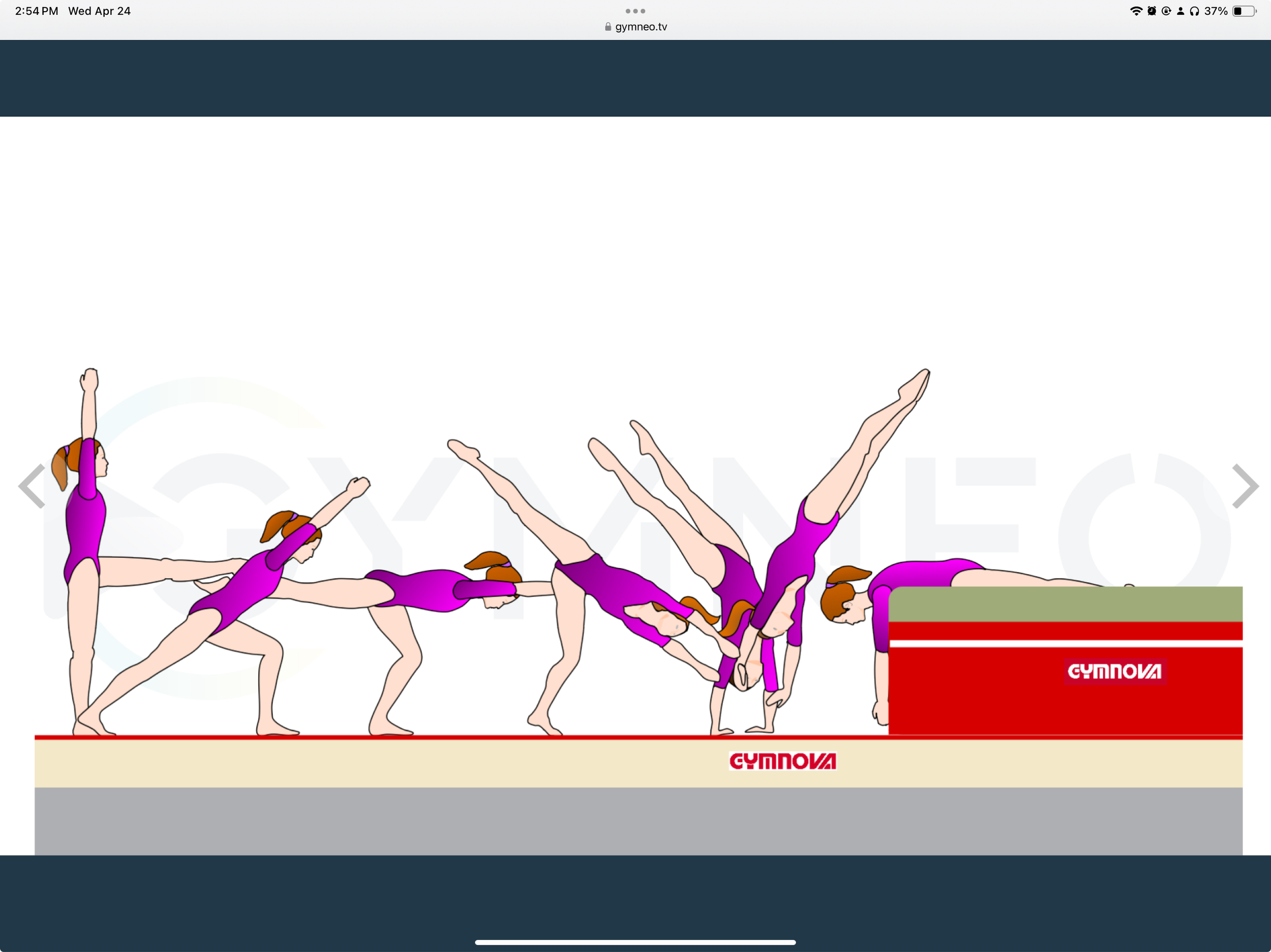 My training list - GymneoTV 32.png