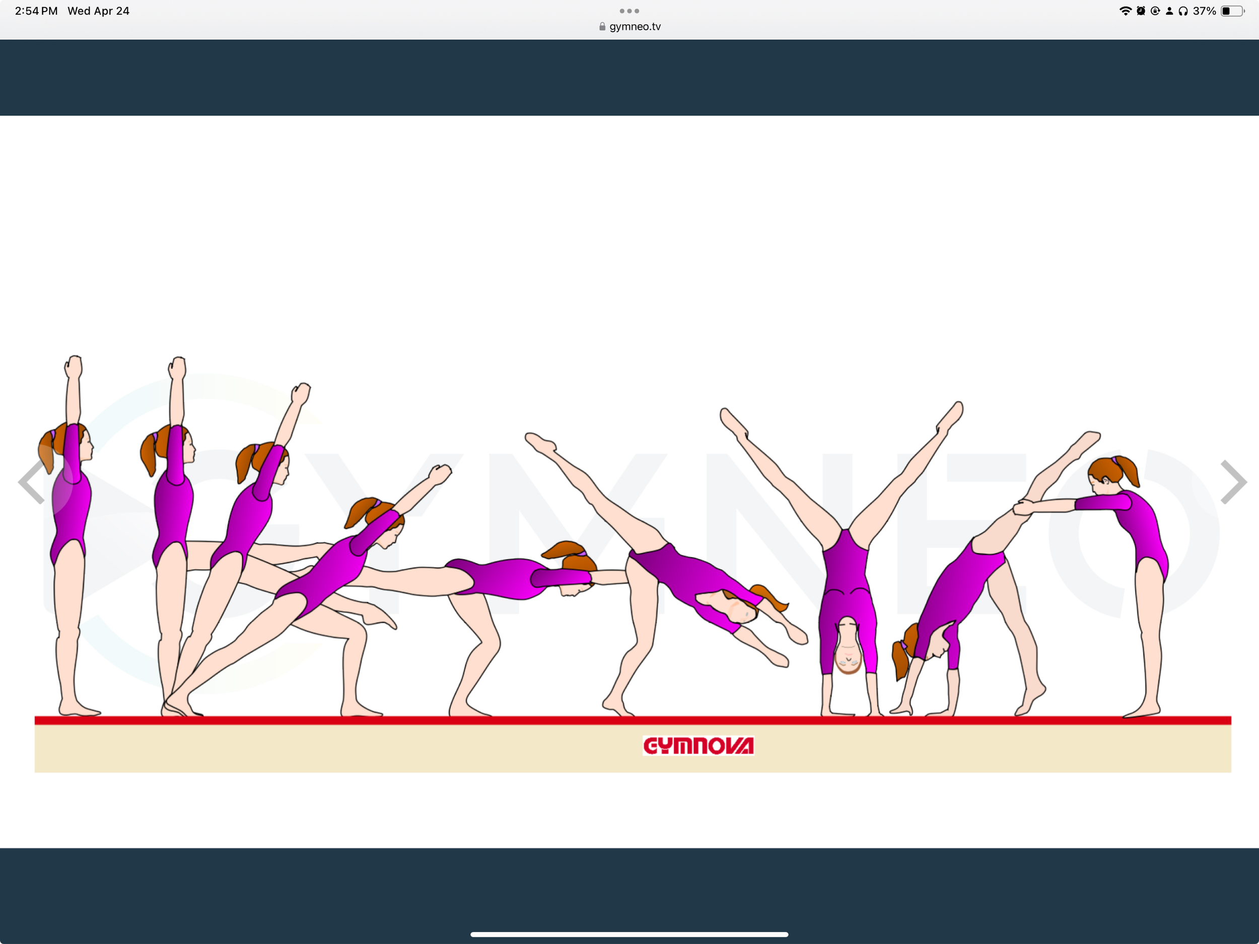 My training list - GymneoTV 33.png