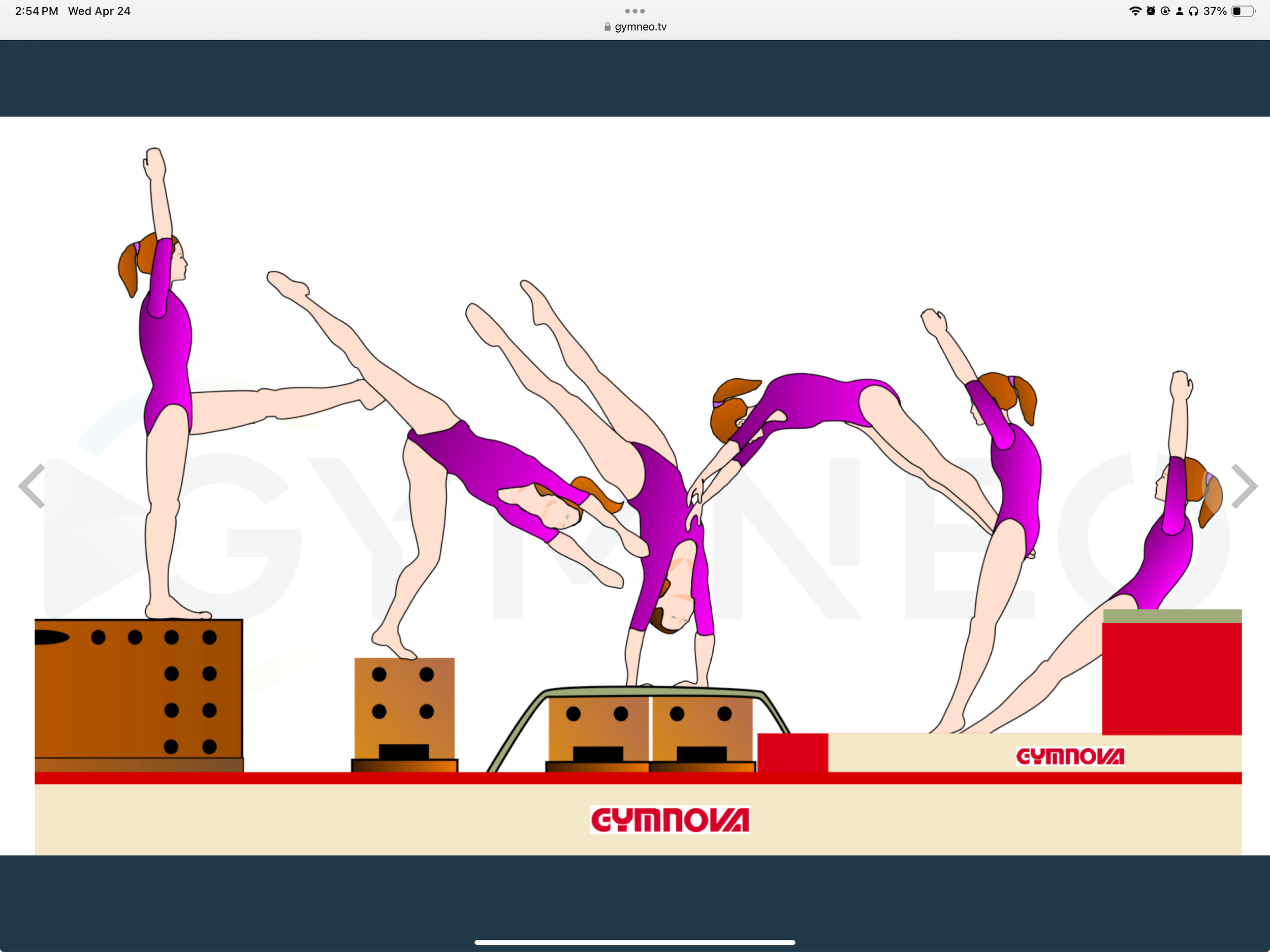 My training list - GymneoTV 35.png