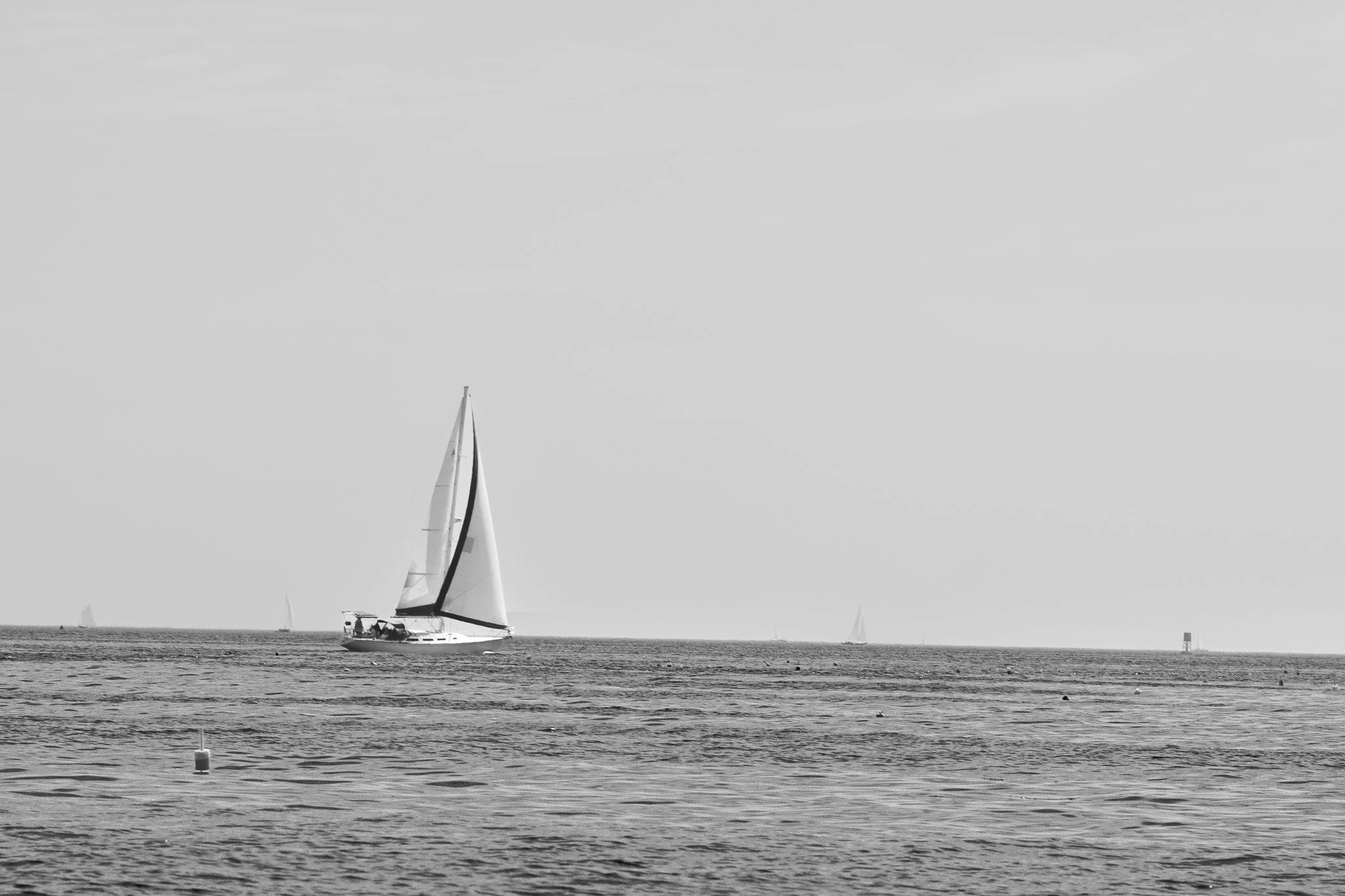 DSCF4391.jpg