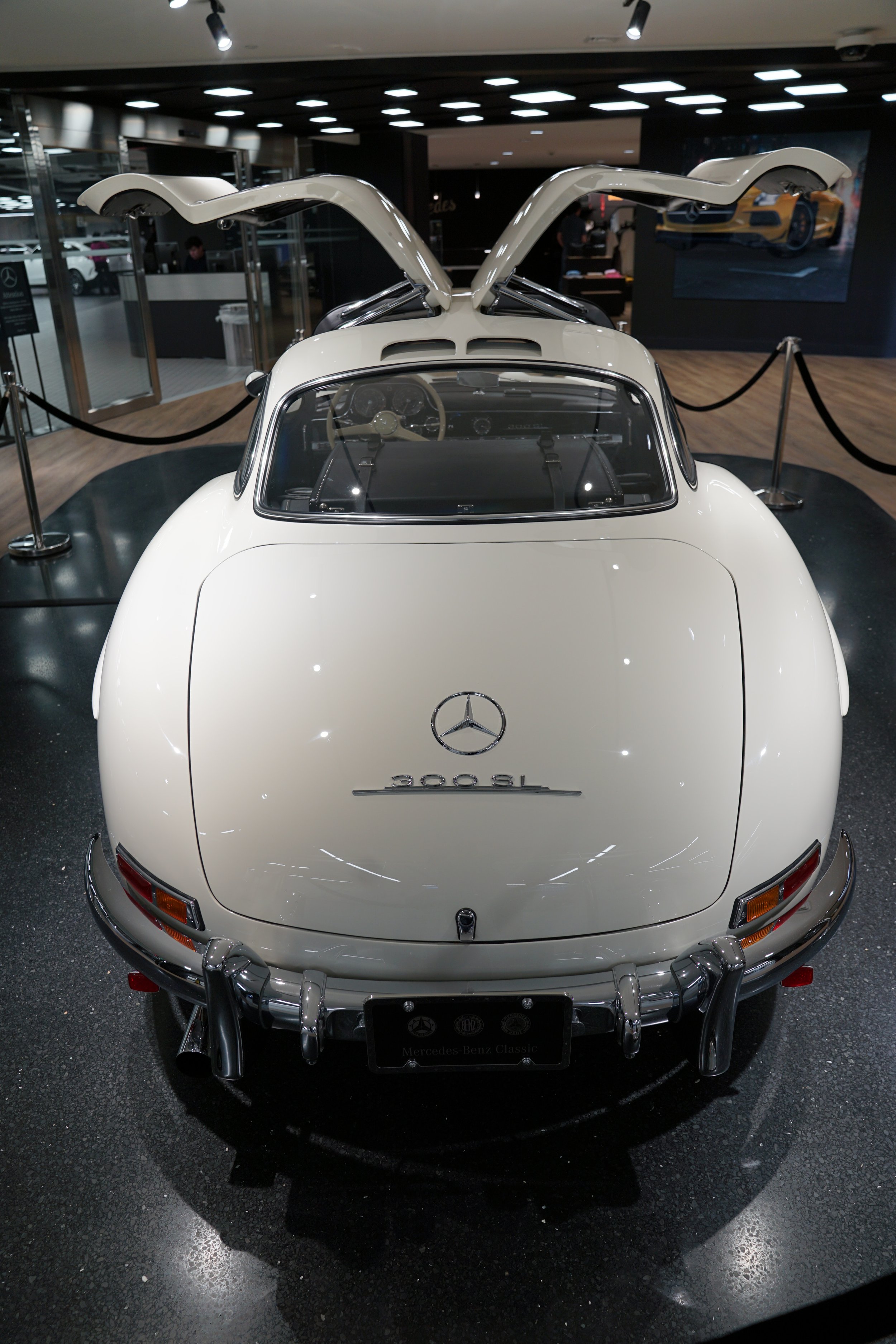 DSC09315.JPG