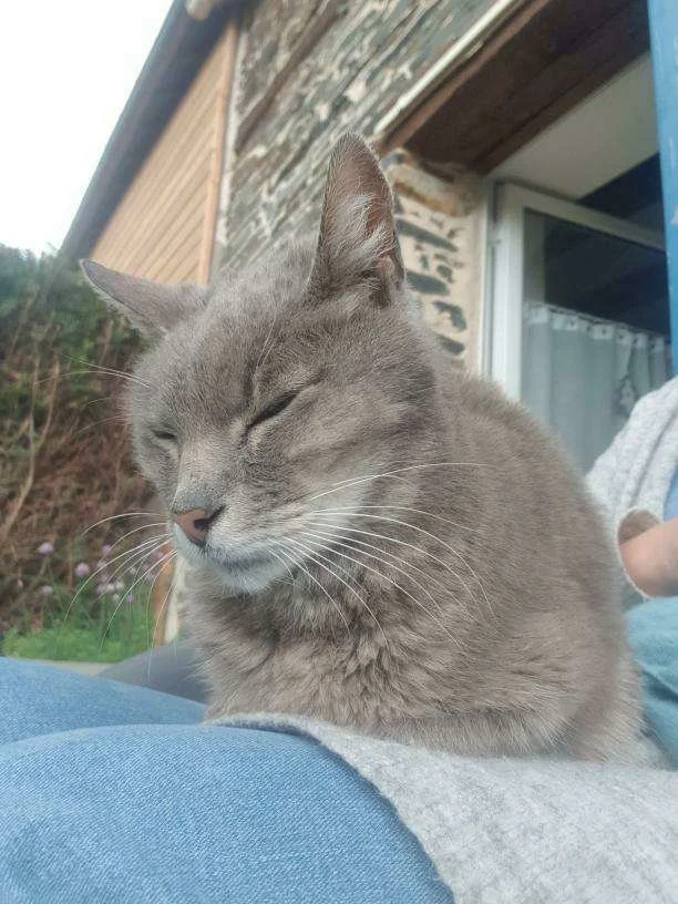 Léo