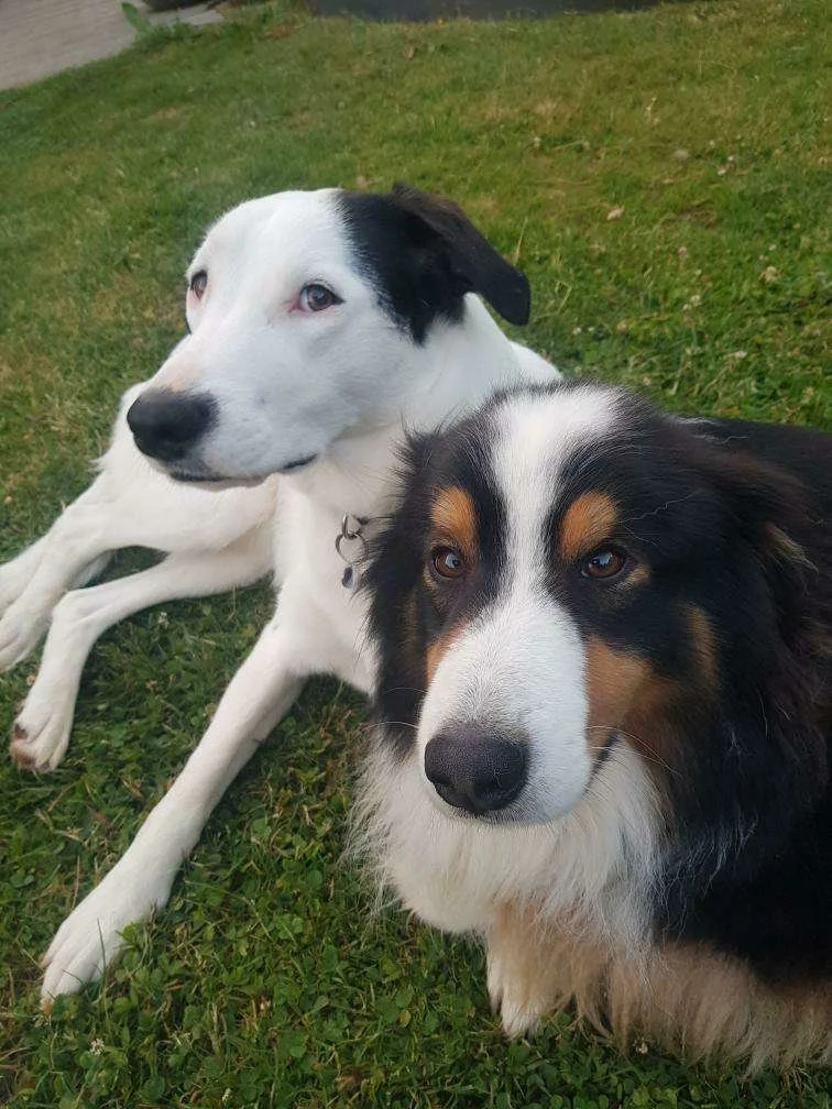 Luna & Remus