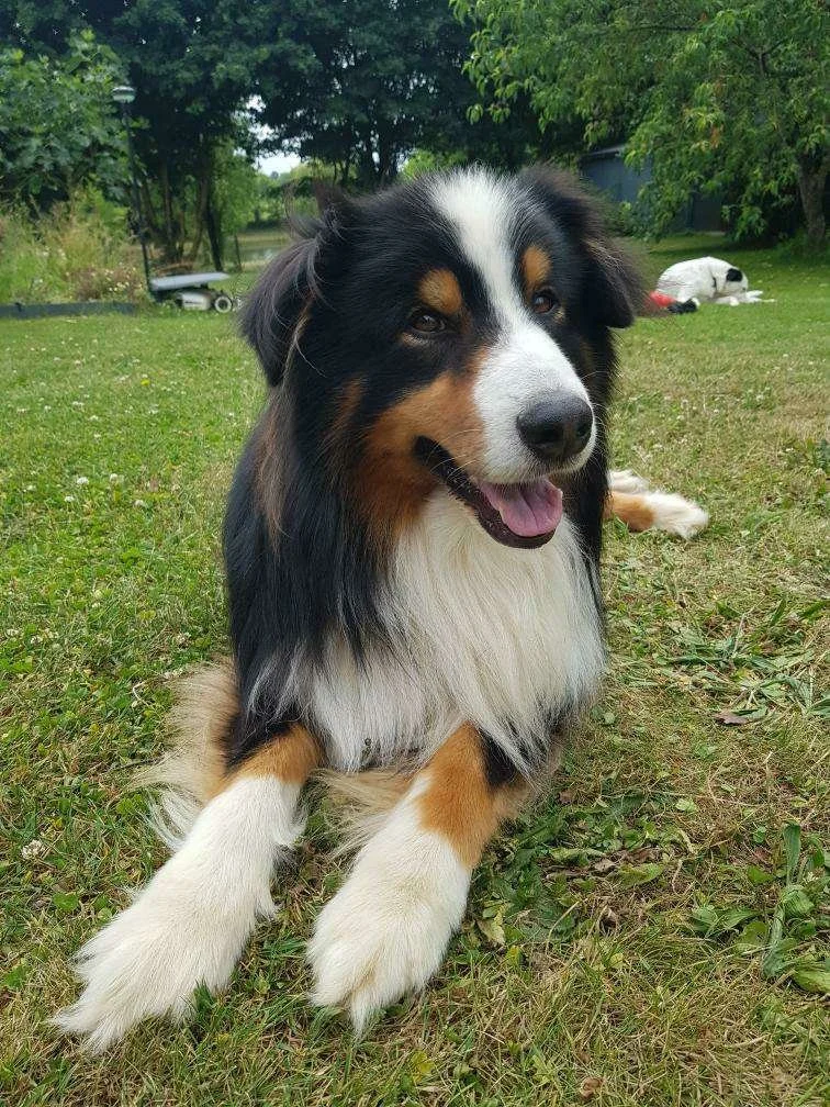 Remus