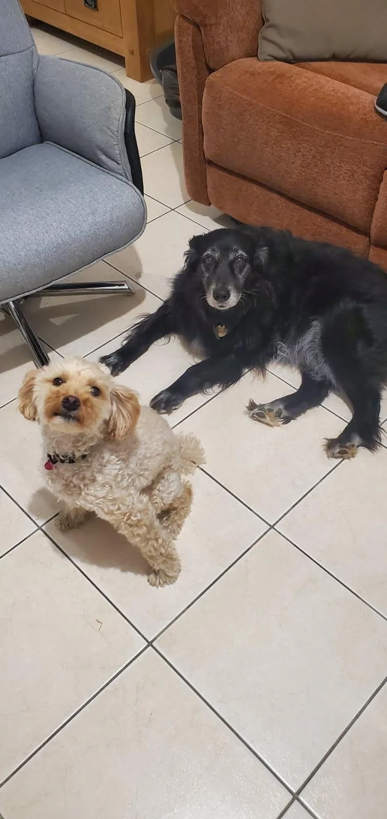 Chelsea & Dori