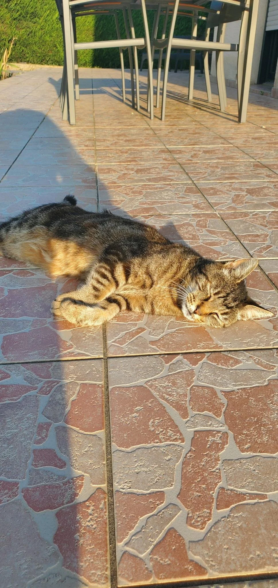 Krokmou