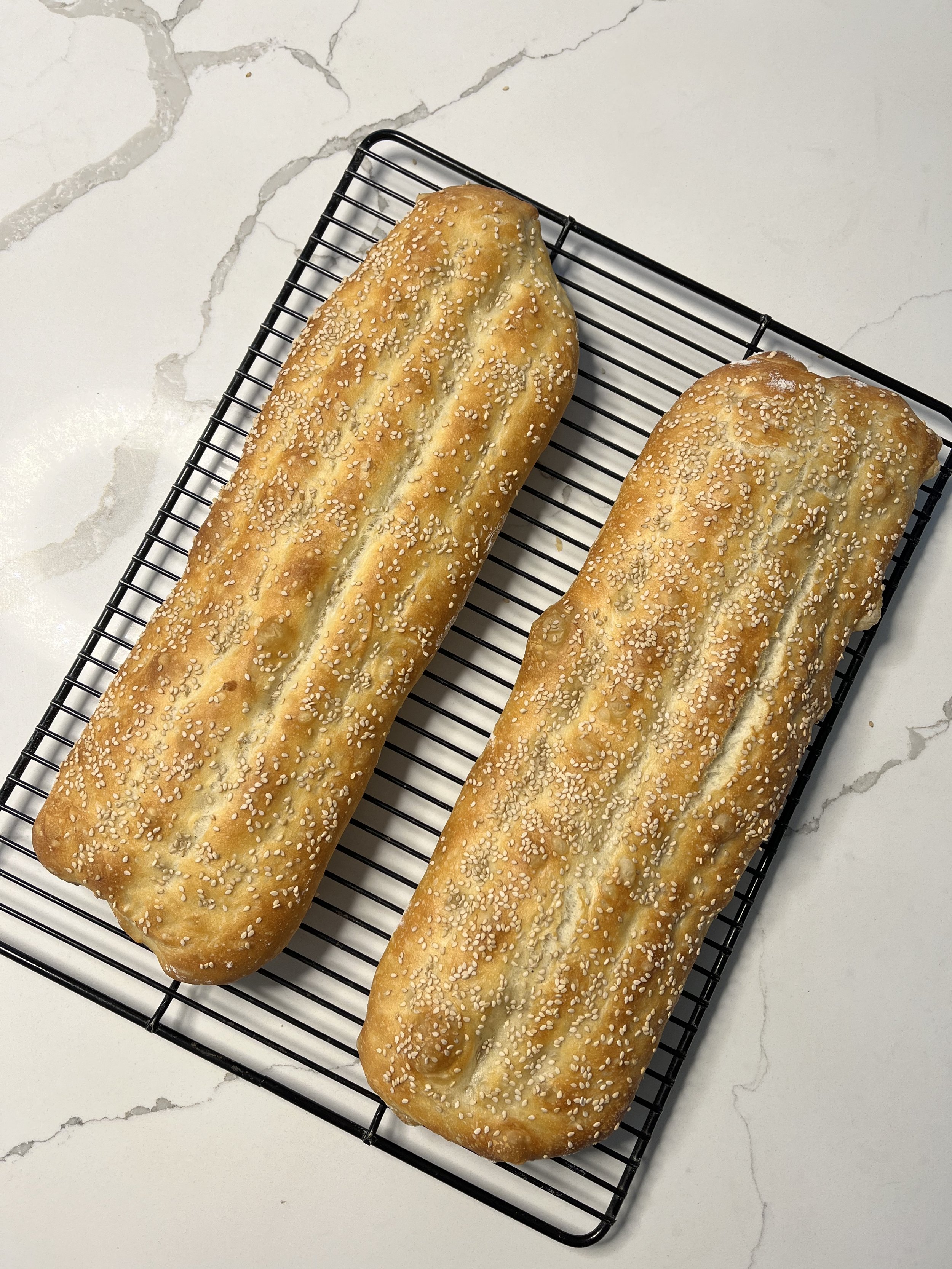 Barbari
