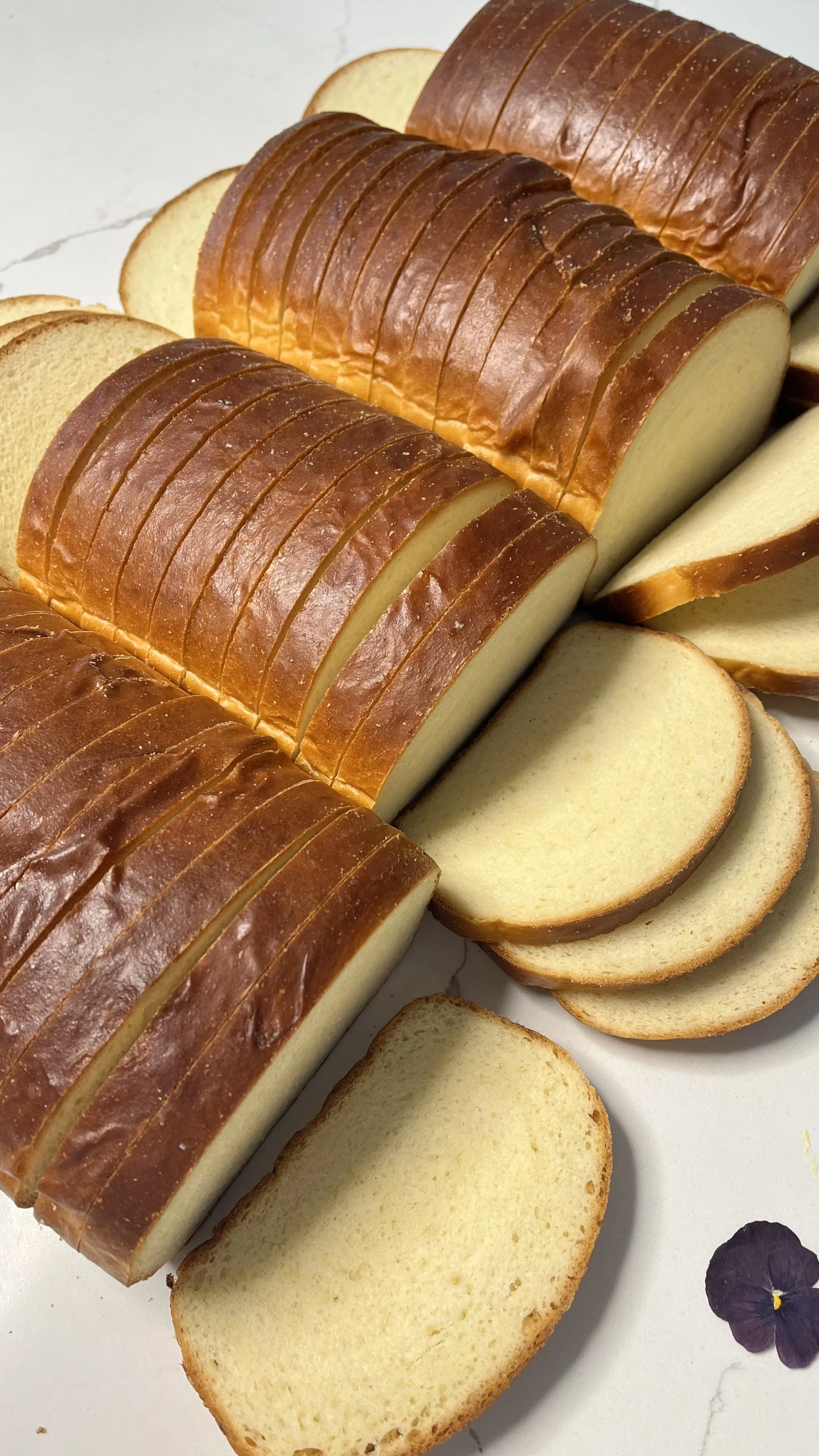 FullSizeRender 2.jpeg