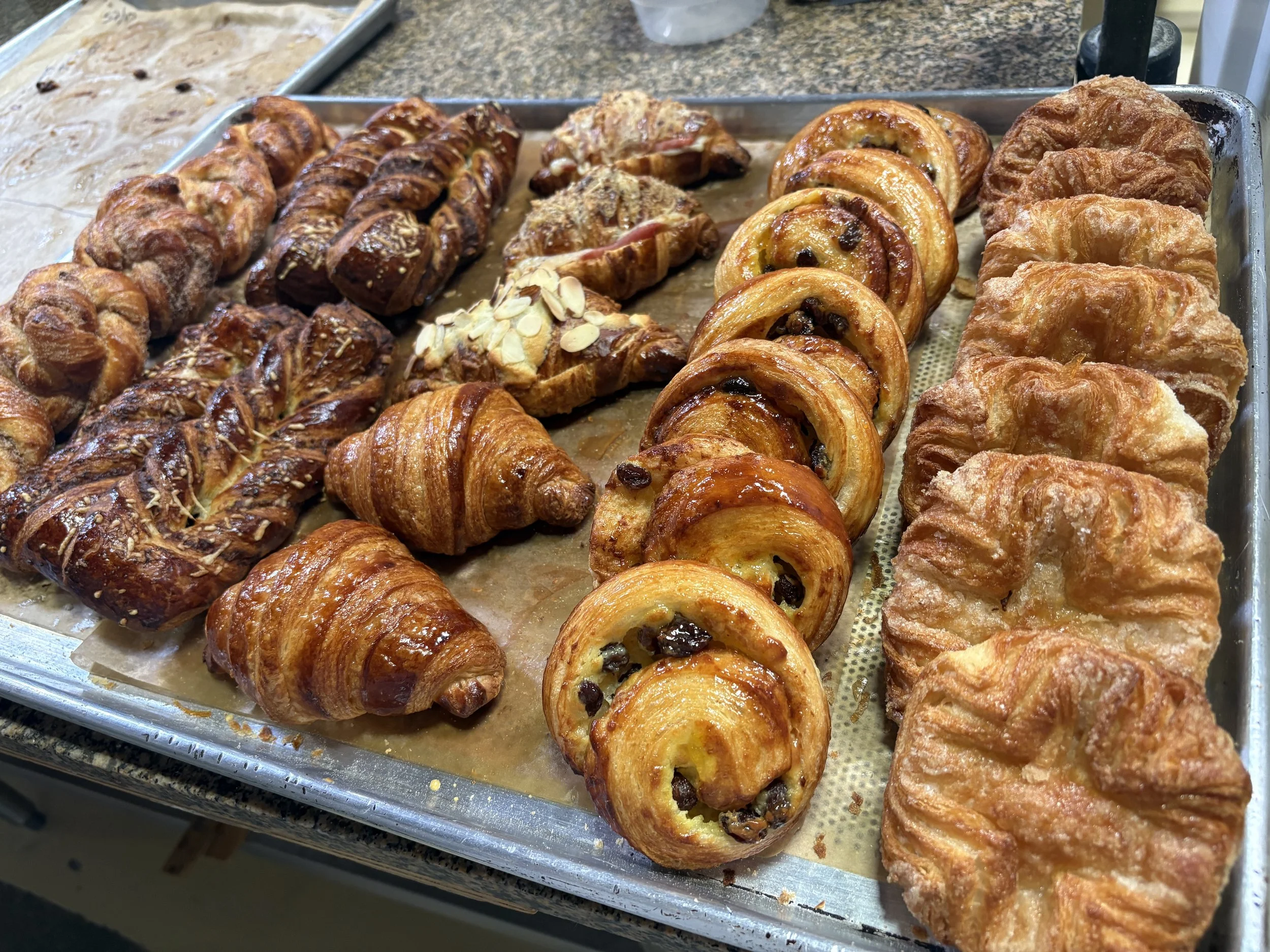 sfbi bakes.JPG
