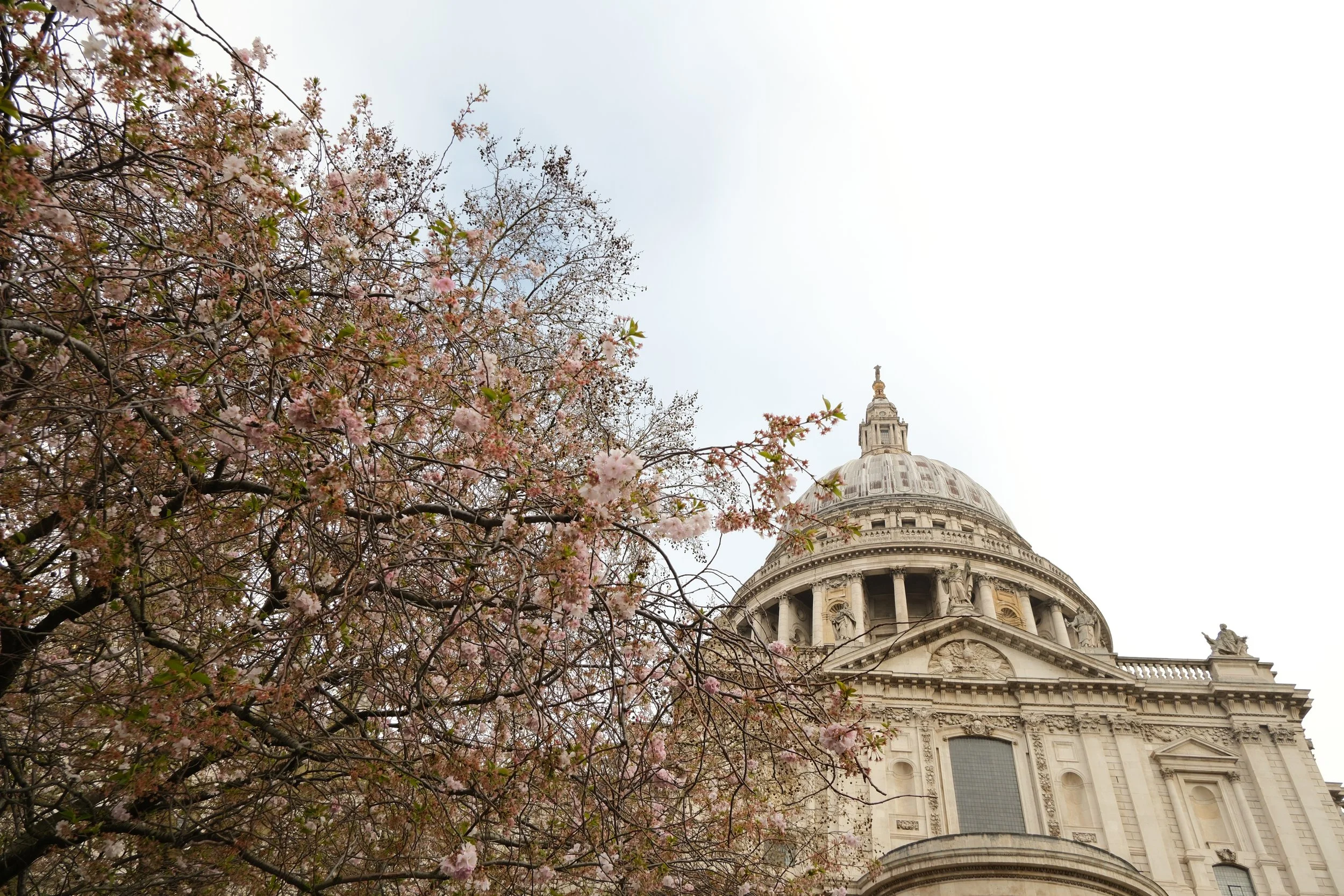 DSCF1547.JPG