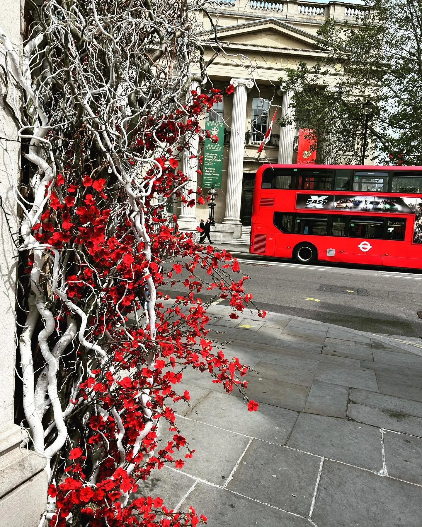 Spring is alive in the streets of London! Swipe for beautiful pops of color! 

&bull;

&bull;

&bull;

&bull;

&nbsp;#takemoreadventures&nbsp;#color&nbsp;#travel&nbsp;#travelphotography&nbsp;#travelblogger&nbsp;#travelgram&nbsp;#traveltheworld&nbsp; 