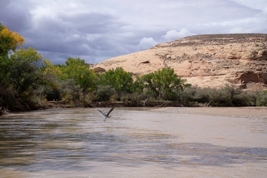 SanJuanRivertrip-064.jpg
