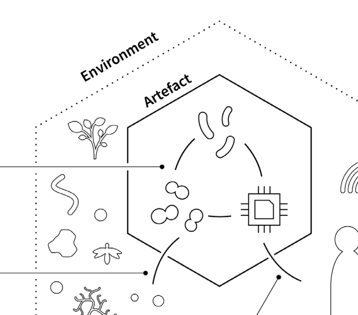 publication_multispecies.png