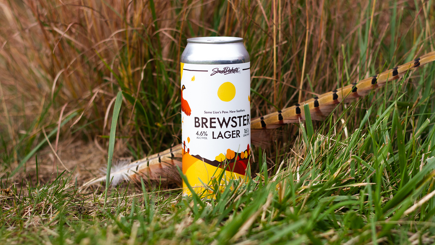 brewster feather.png