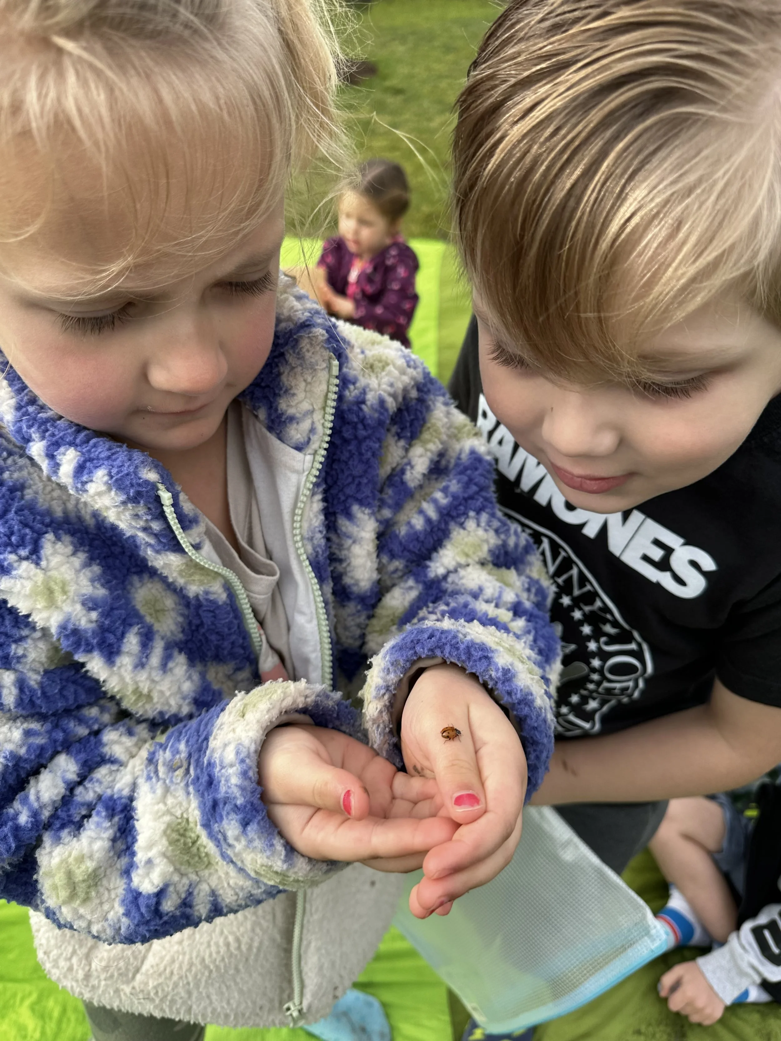 tuition-and-fee-schedule-redbud-farm-school