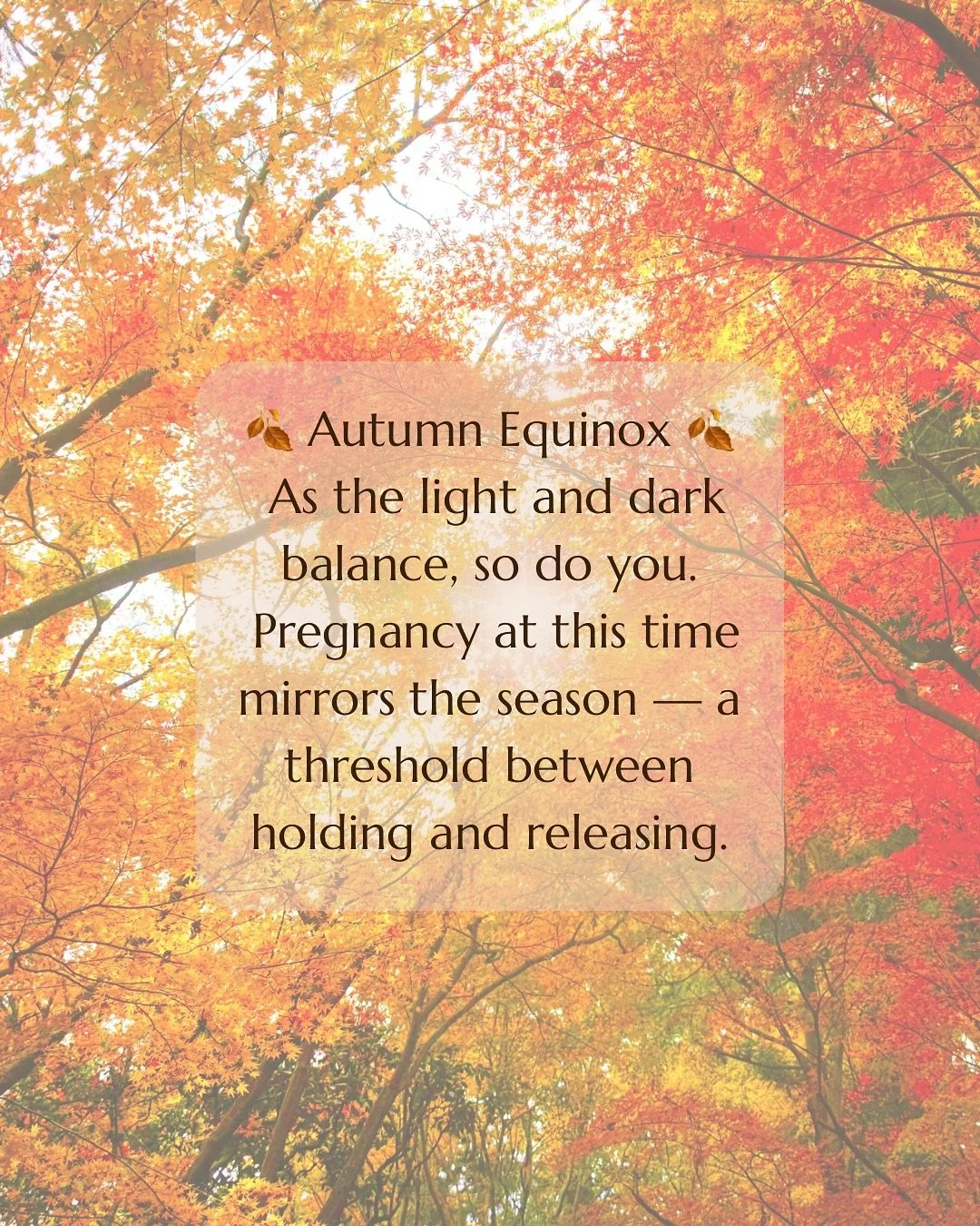 🍁The Autumn Equinox is a moment of balance &mdash; equal day and night &mdash; before we turn inward for the darker months. 🍂

Pregnancy and birth have their own equinox moments too: thresholds between waiting and releasing, preparing and surrender
