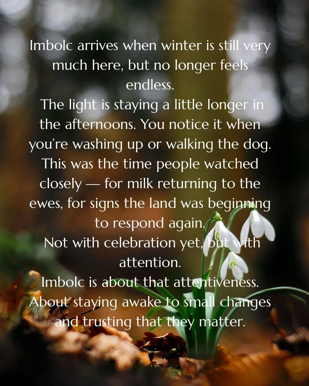 Imbolc feels like a listening season.
Winter isn&rsquo;t finished, but it&rsquo;s no longer silent.

This is the time of Brigid &mdash; hearth keeper, midwife, healer.
The one who tends what&rsquo;s growing quietly and protects it until it&rsquo;s st