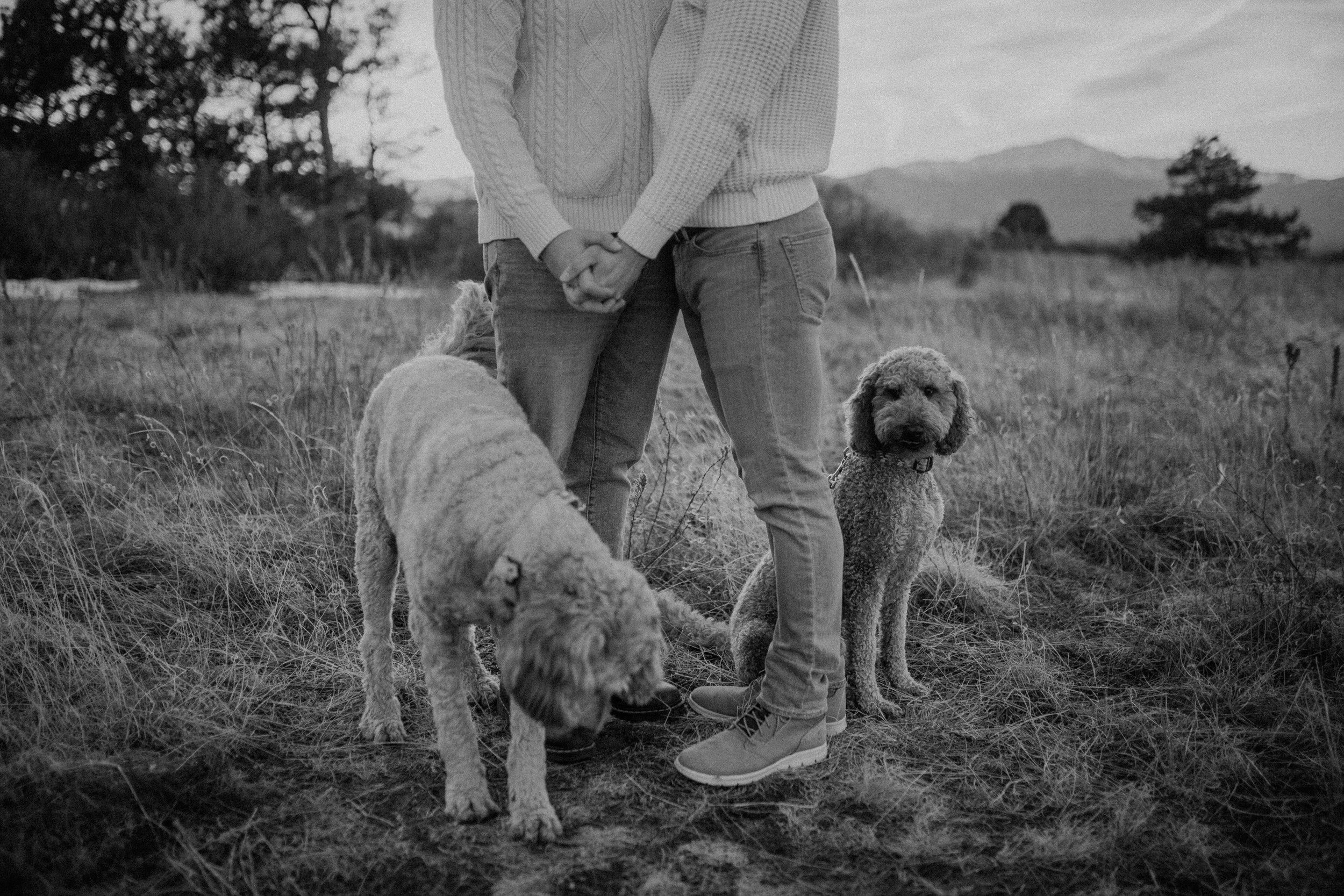 Sebastian and Cooper-62.jpg