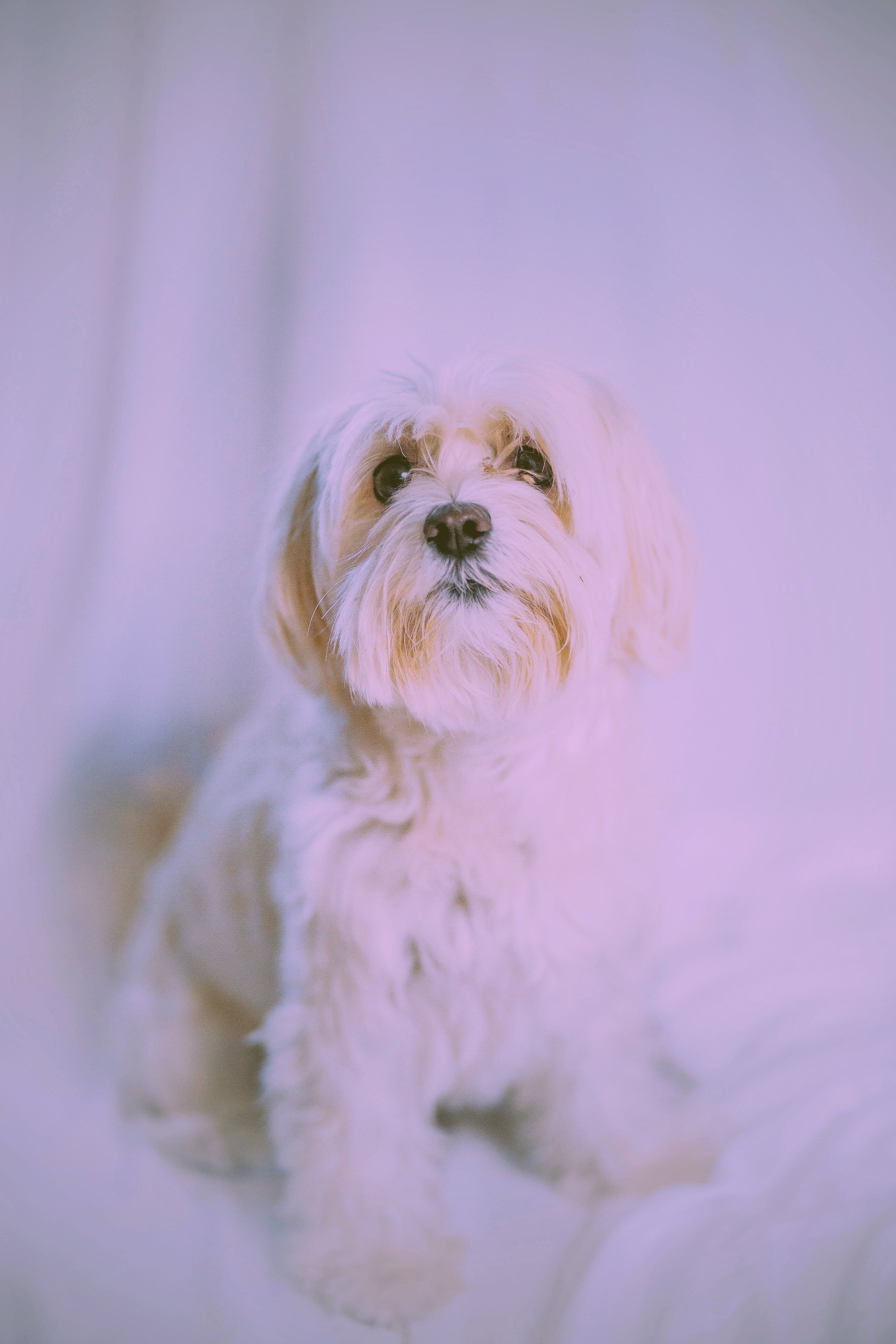 berry turns 4-6.jpg