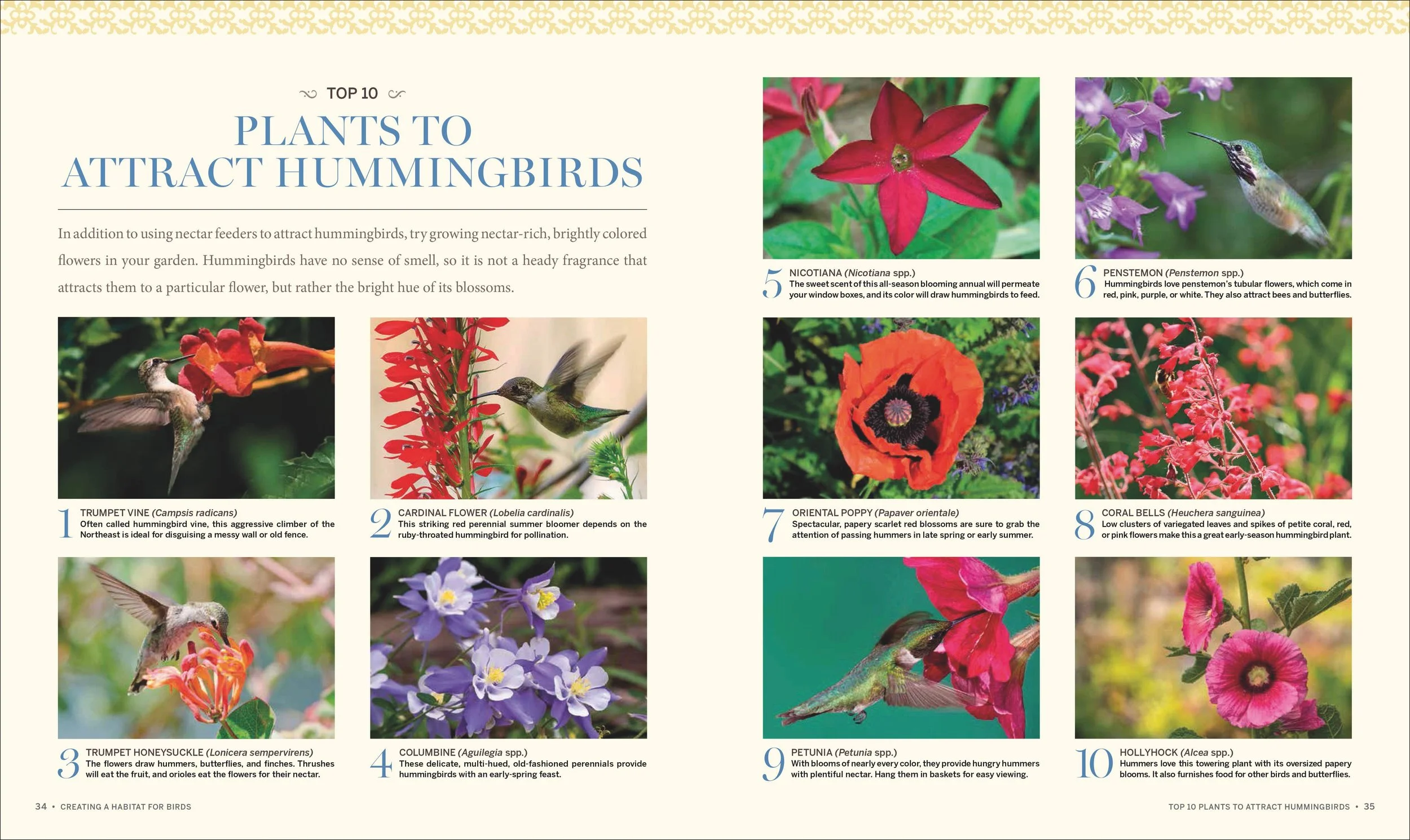 BirdsBeesButterflies_lowres-18.jpg
