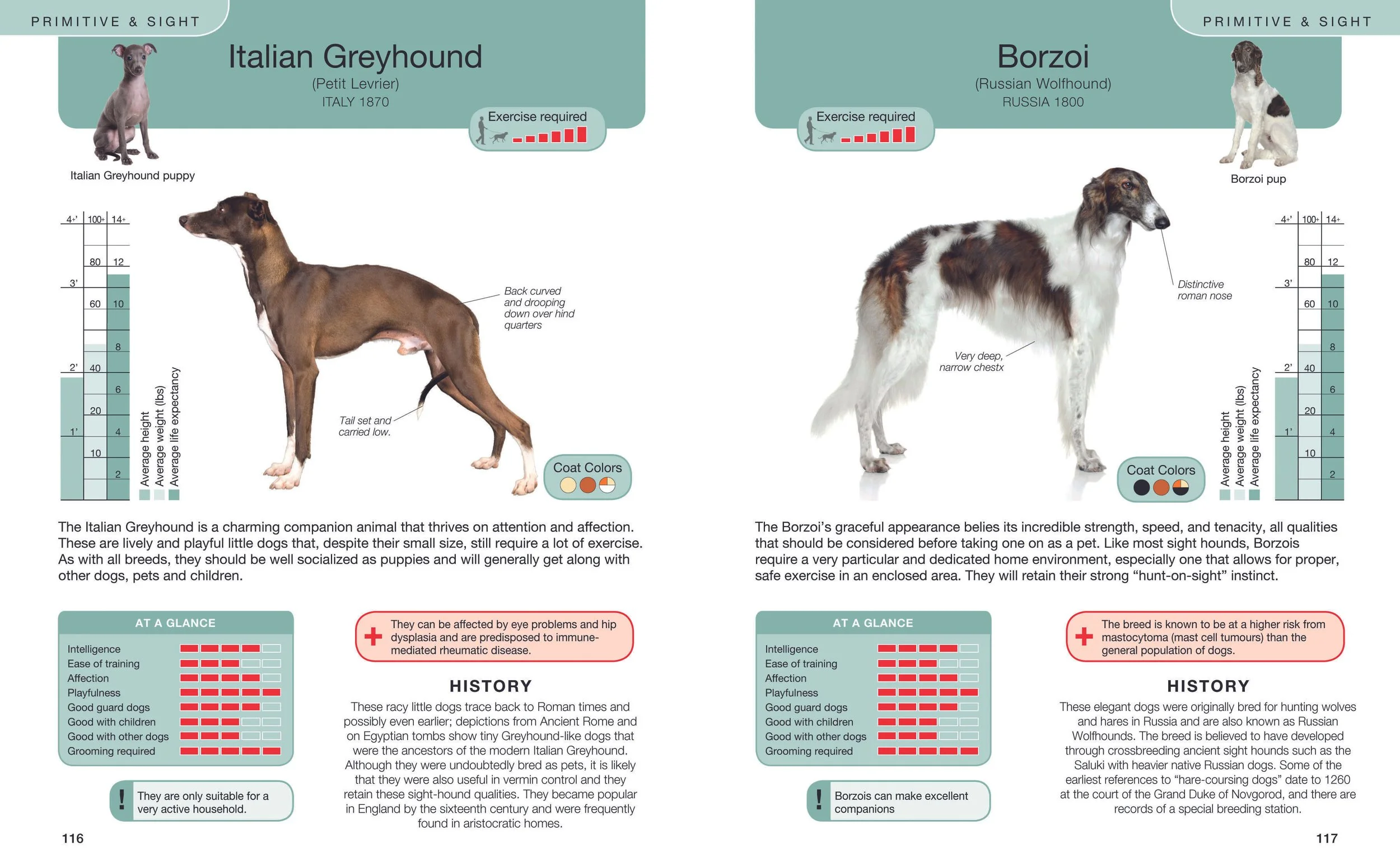 Every Dog Primitive&Sight Spreads-2.jpg
