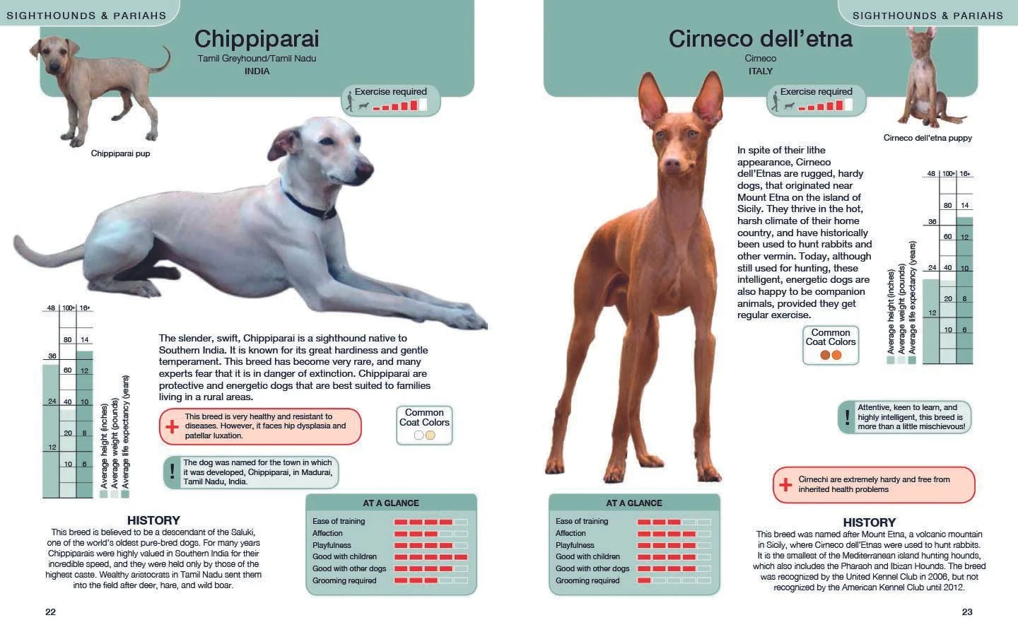 EveryDog complete AM LR-13.jpg