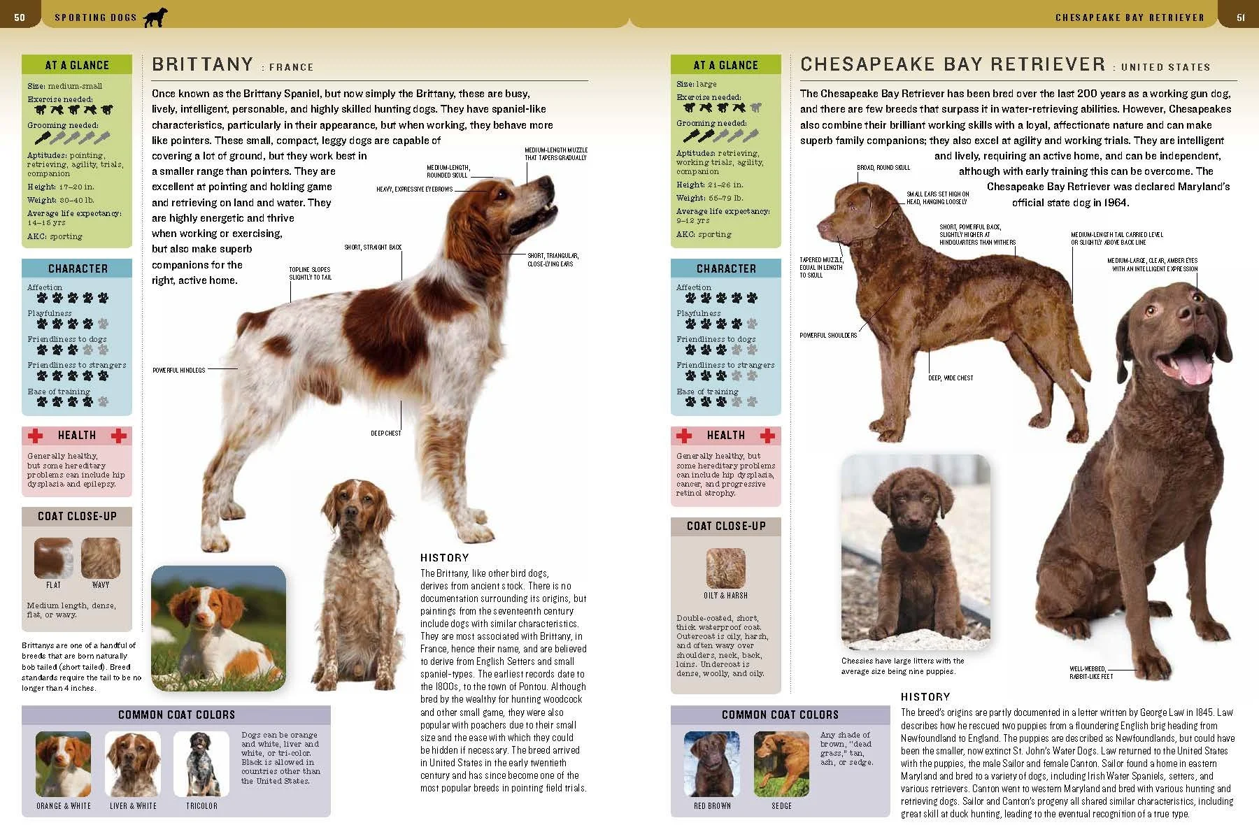 Dos spread 2.jpg