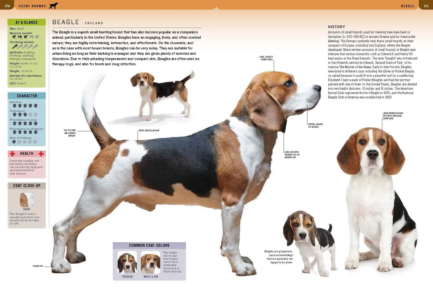Dos spread 5.jpg