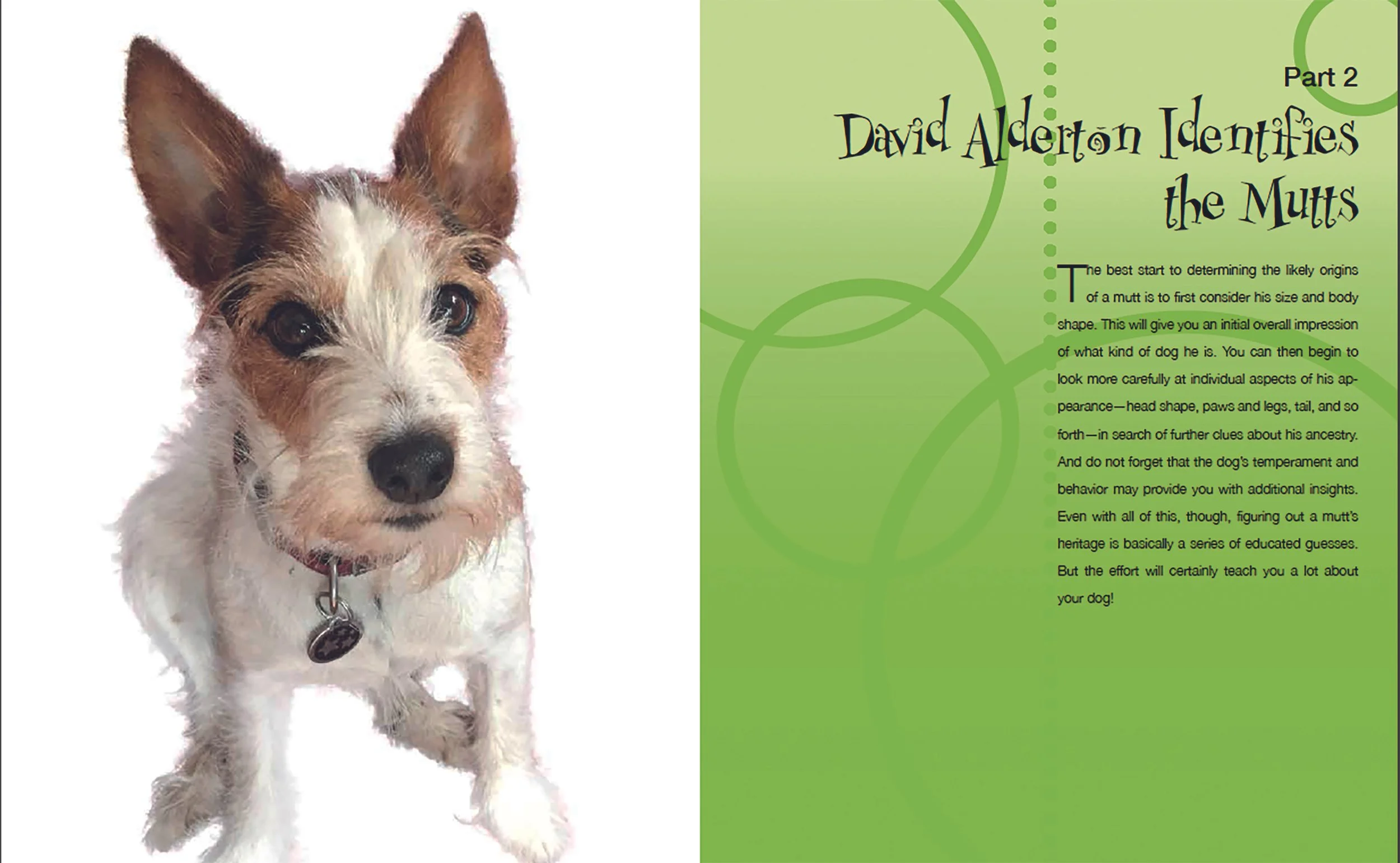 Dog Decoder sp1a.jpg