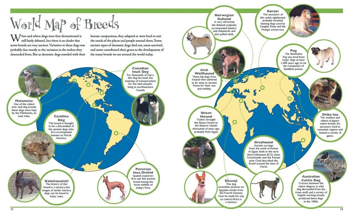 Dog Decoder sp1.jpg