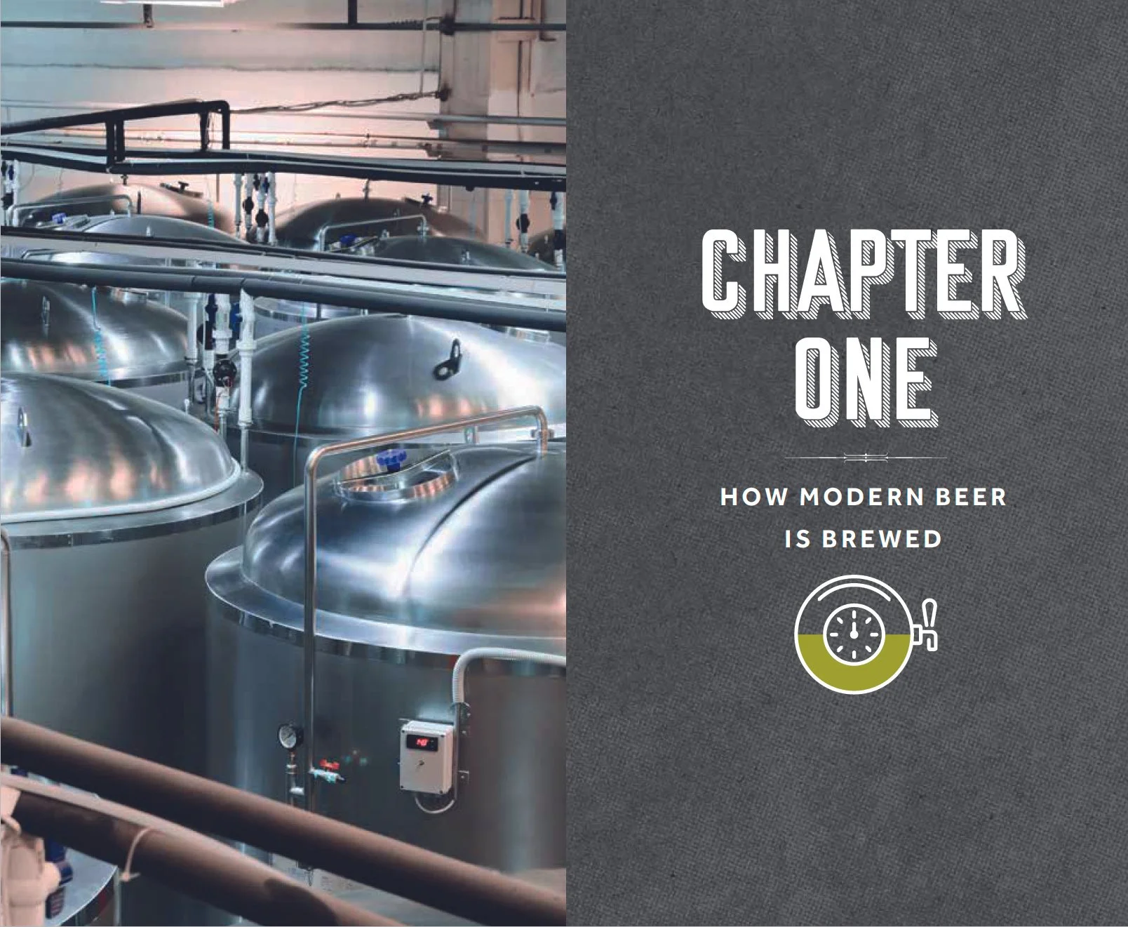 Beer sp1.jpg