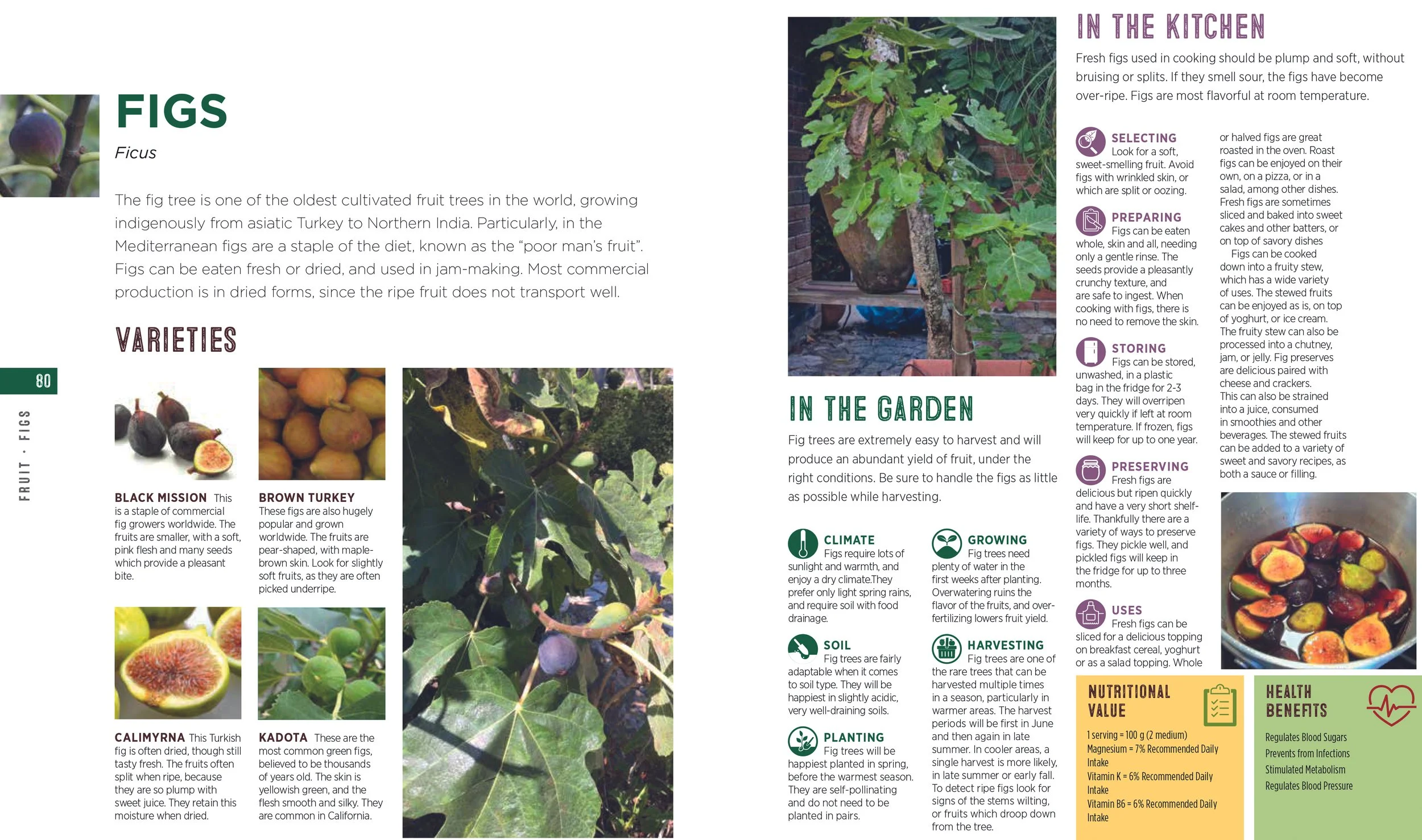 Fruit & Veg Bible for catalog 42.jpg