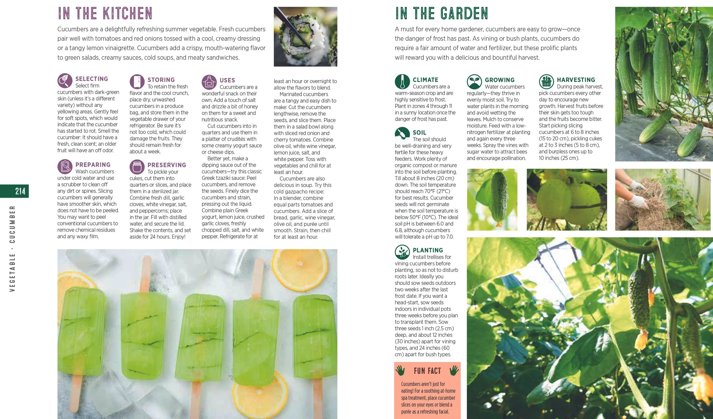 Fruit & Veg Bible for catalog 109.jpg