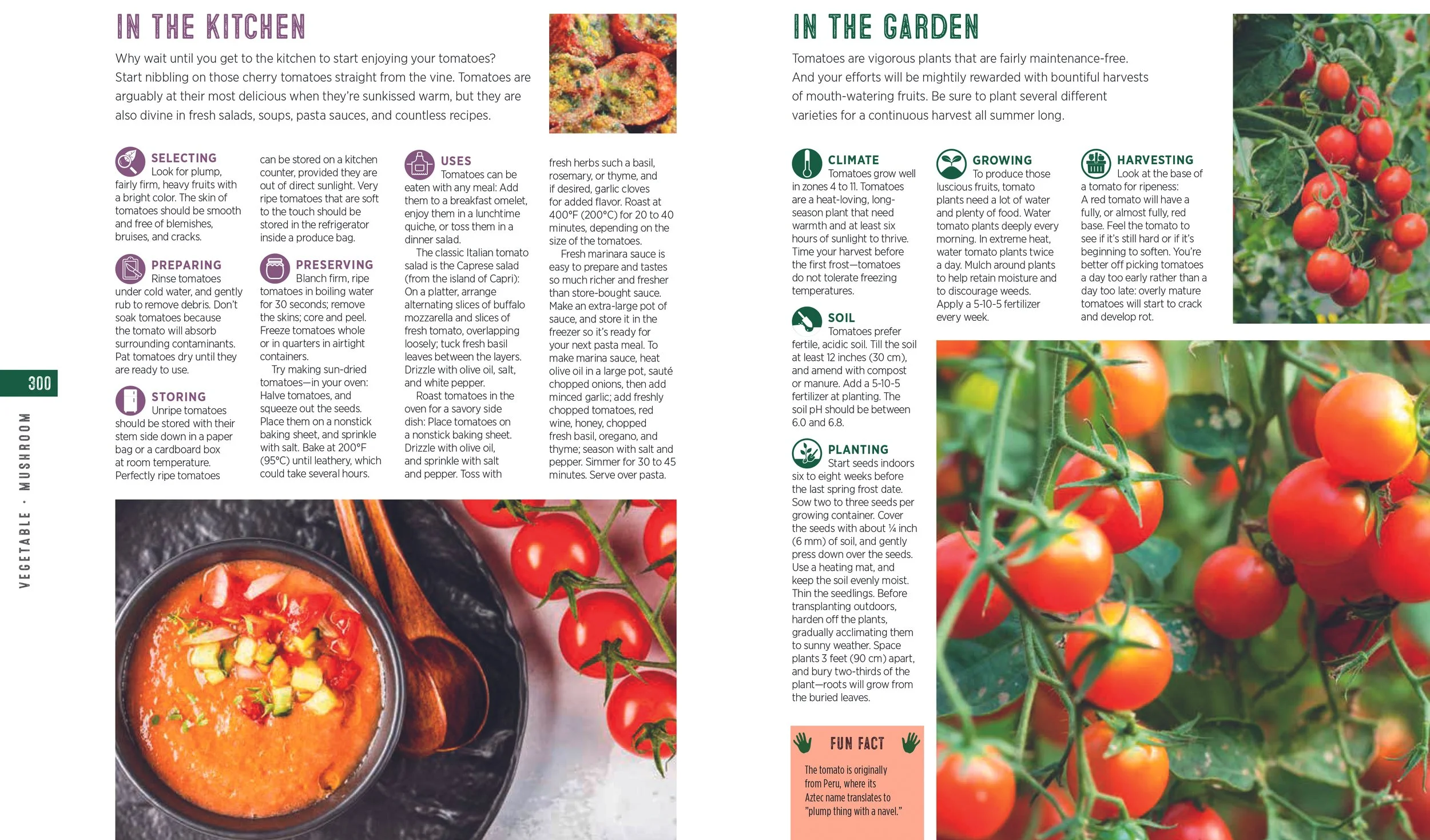 Fruit & Veg Bible for catalog 152.jpg