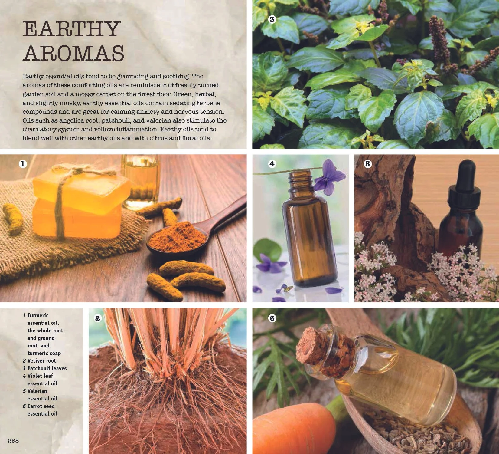 08_Essential_Oils_Earthy_256-277_final-2.jpg