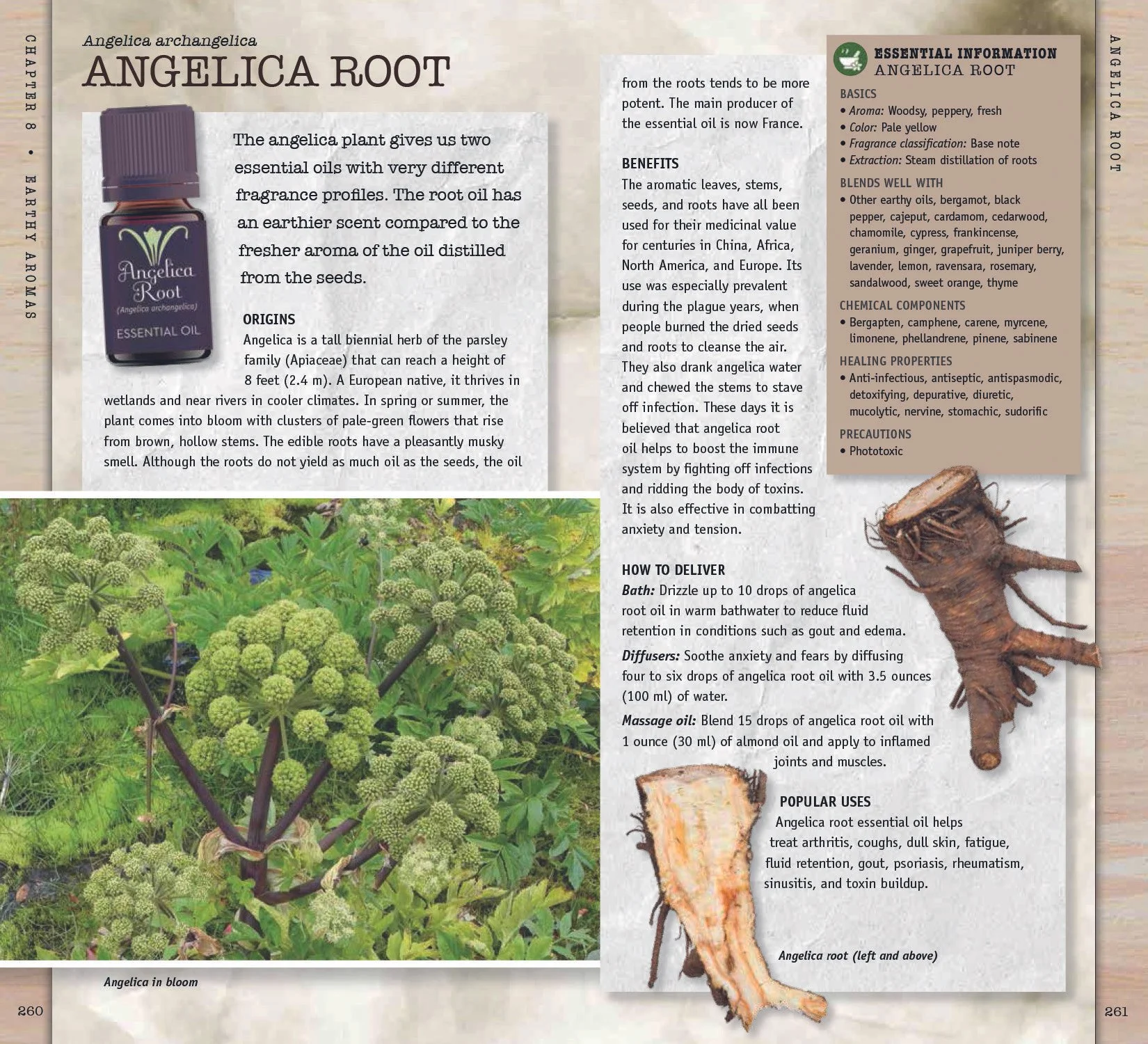 08_Essential_Oils_Earthy_256-277_final-3.jpg
