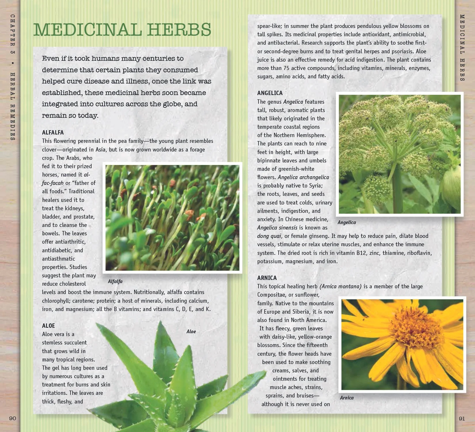 03 Essen_Wellness_Herbs AM7-8.jpg