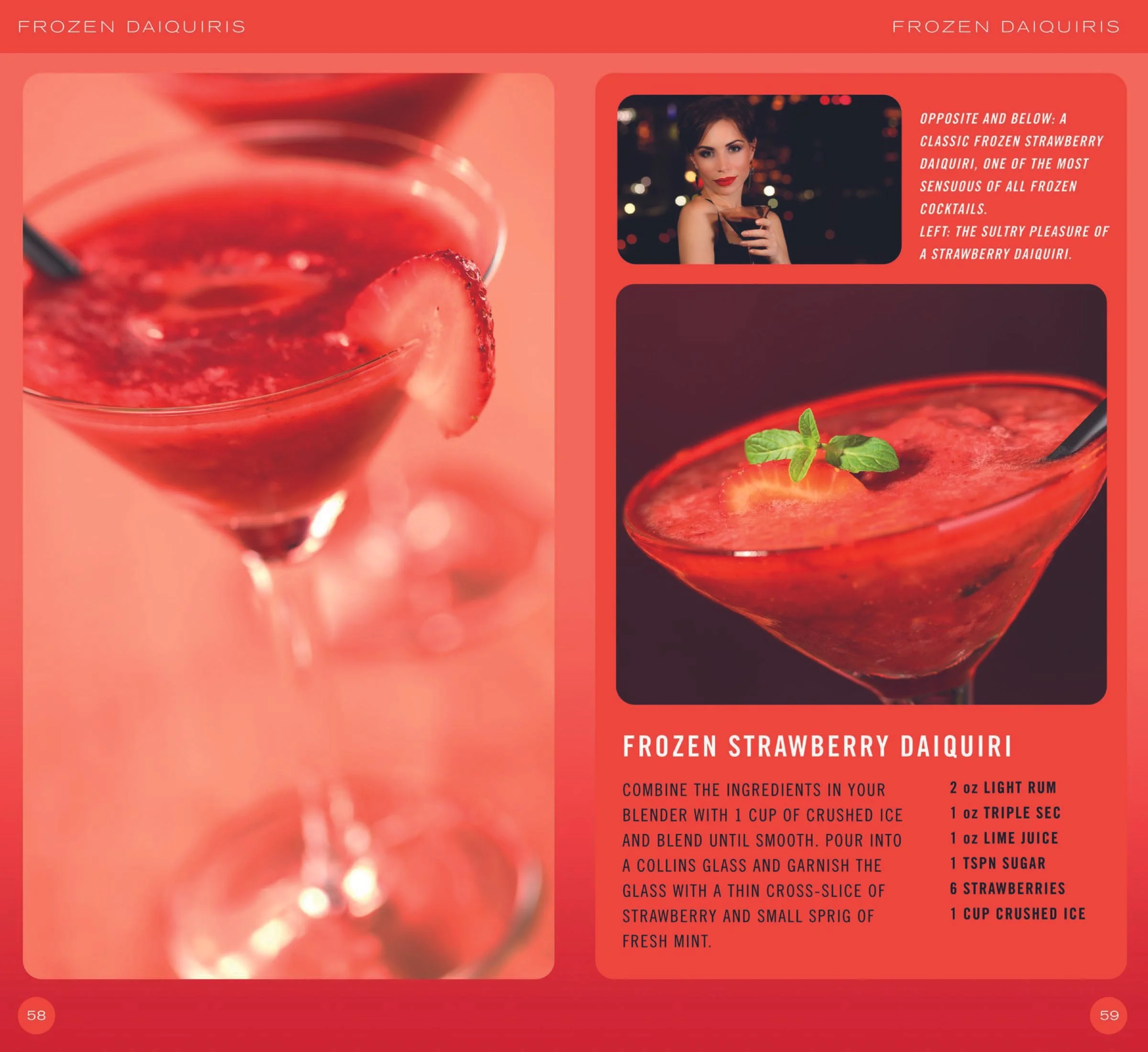 FrozenCocktailsSpreads x4-3.jpg