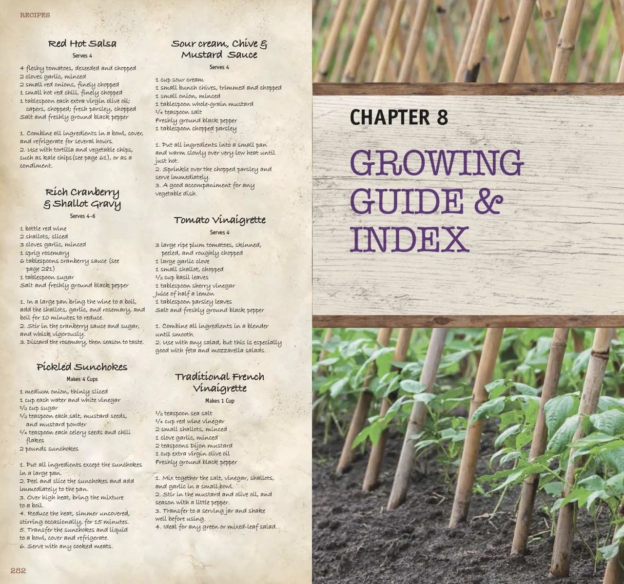 Vegetable Bible complete LR spreads-144 Large.jpeg